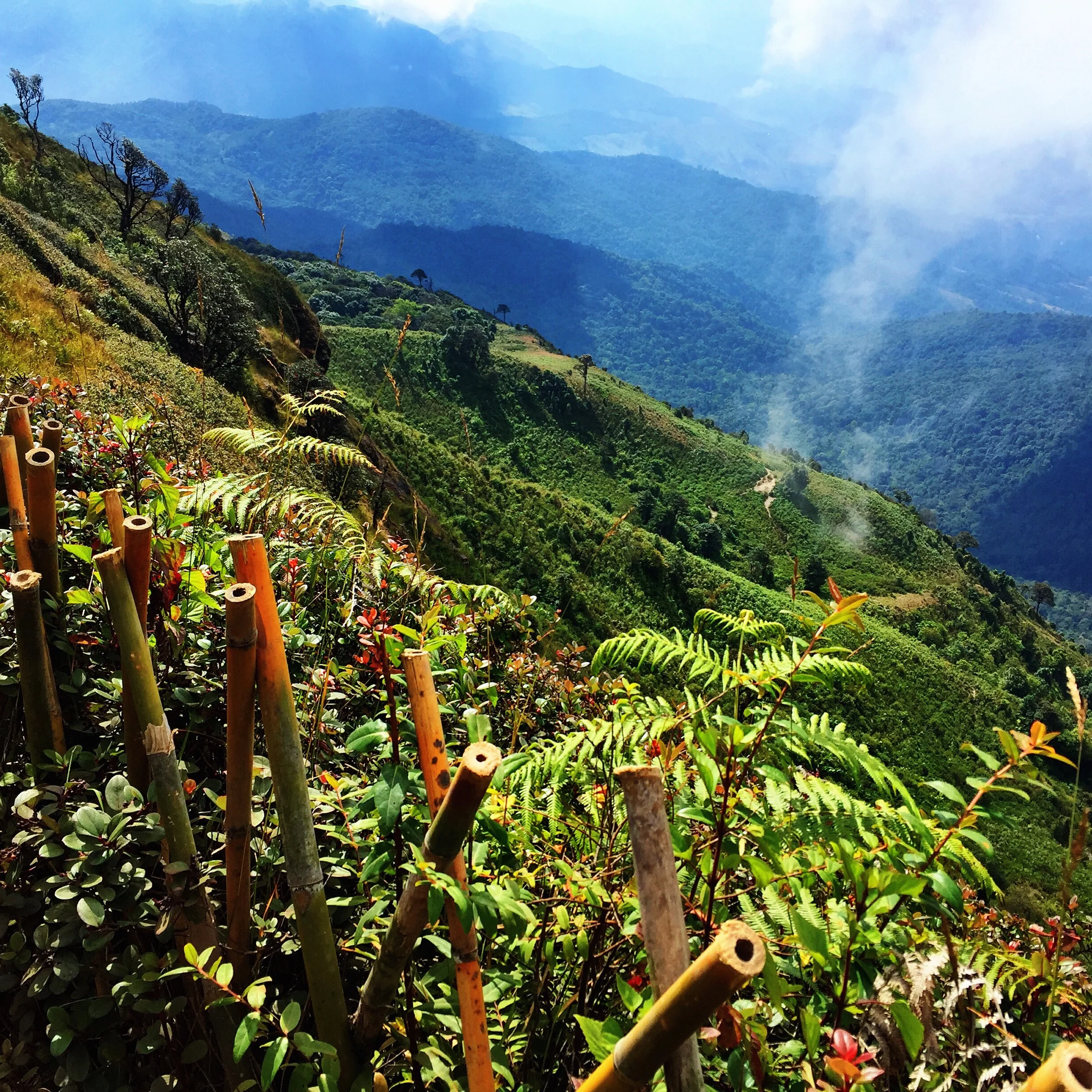 Doi Inthanon National Park 