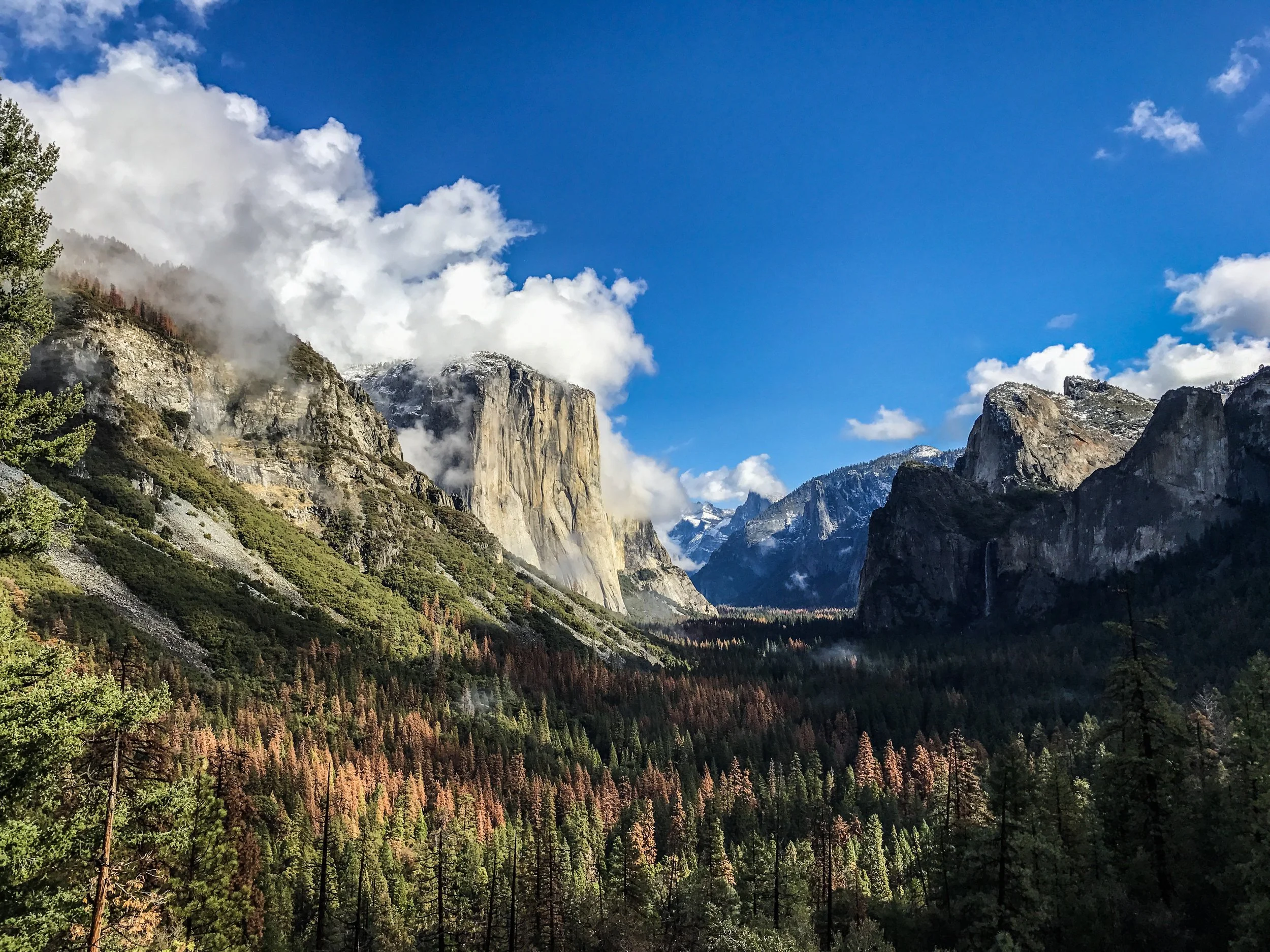 Yosemite.JPG