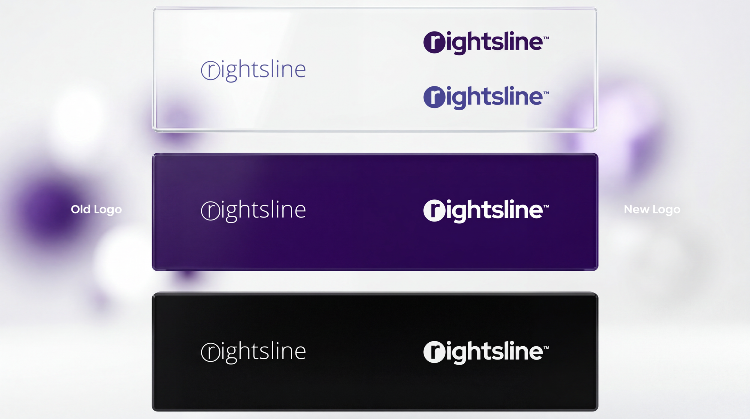 Rightsline 2023 (5).png