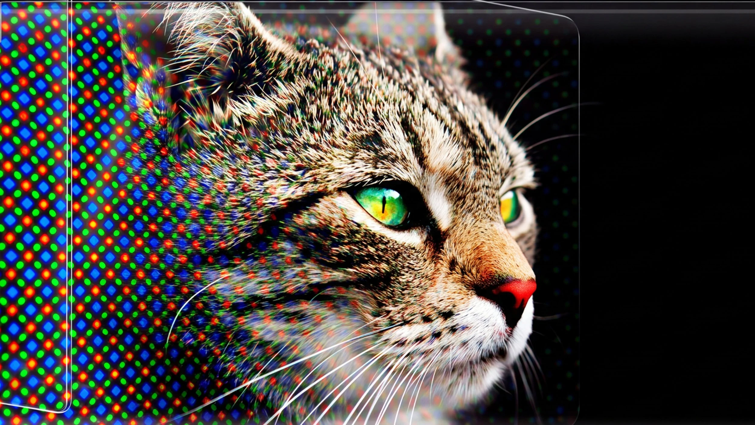Dev_03.jpg