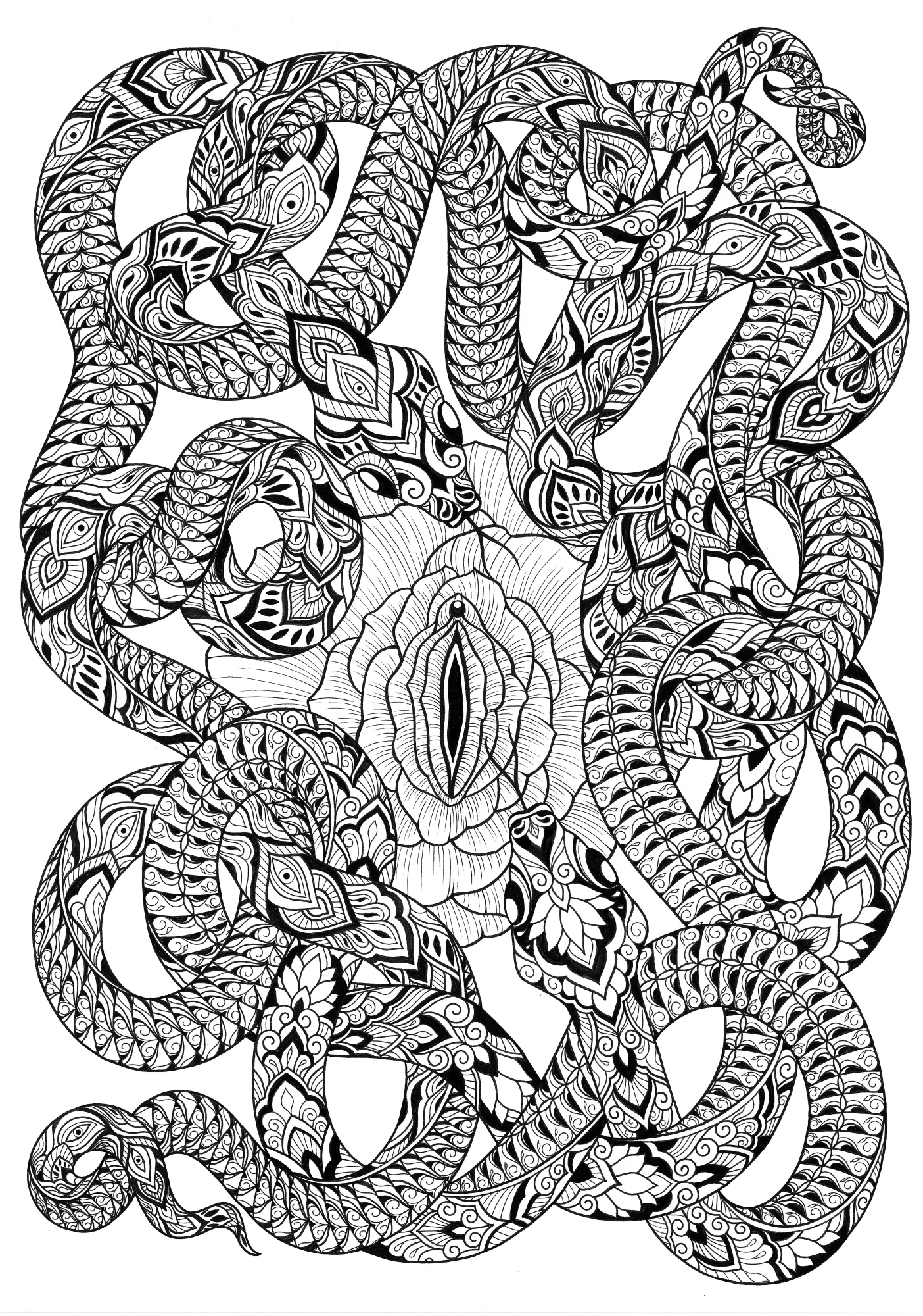 Pasas Print small.jpg