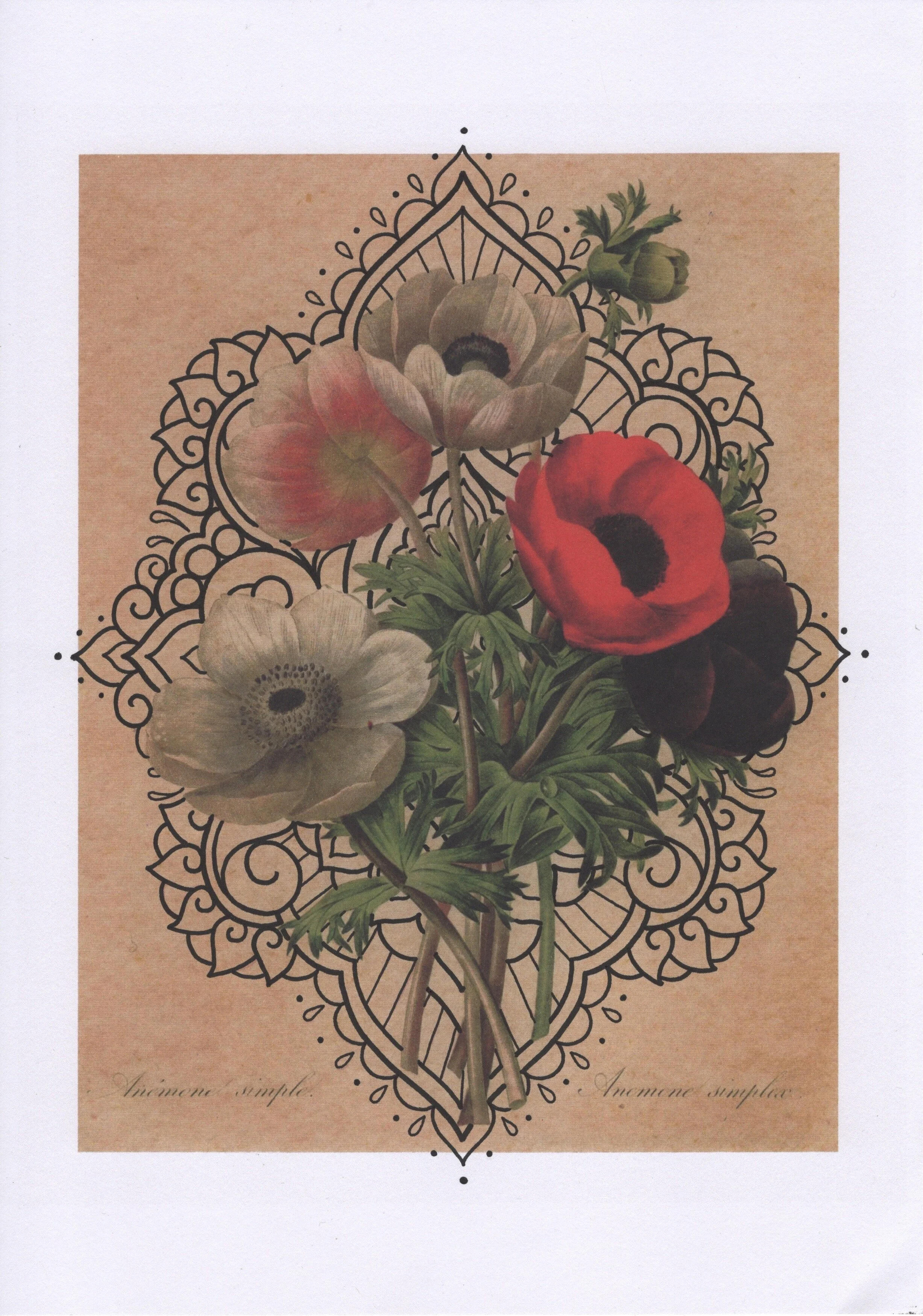 61FABF9B-BC28-419A-BB7D-AC701F80C7CE