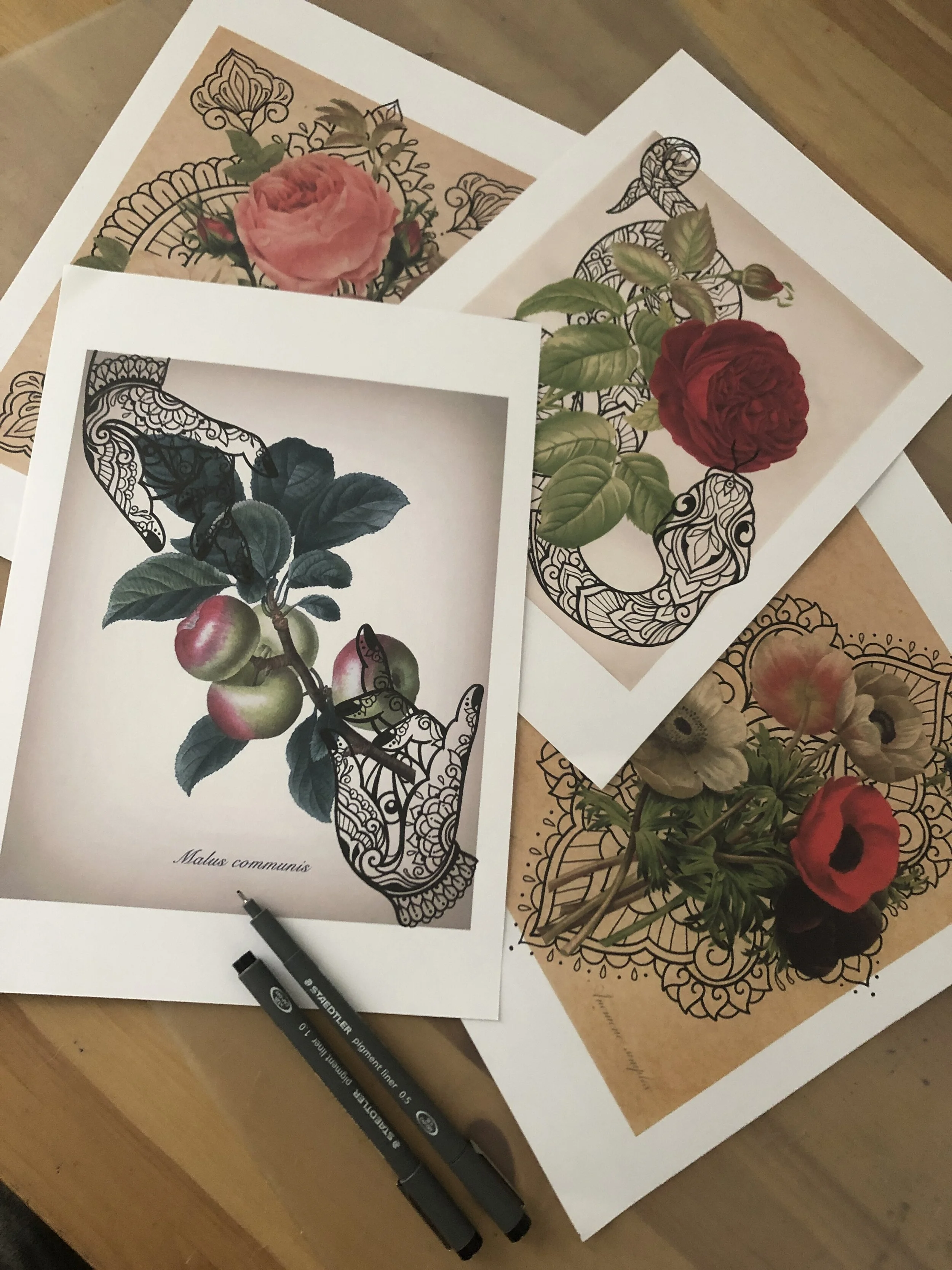 AF565C99-E025-44FE-9A48-8B4A8E8DD992