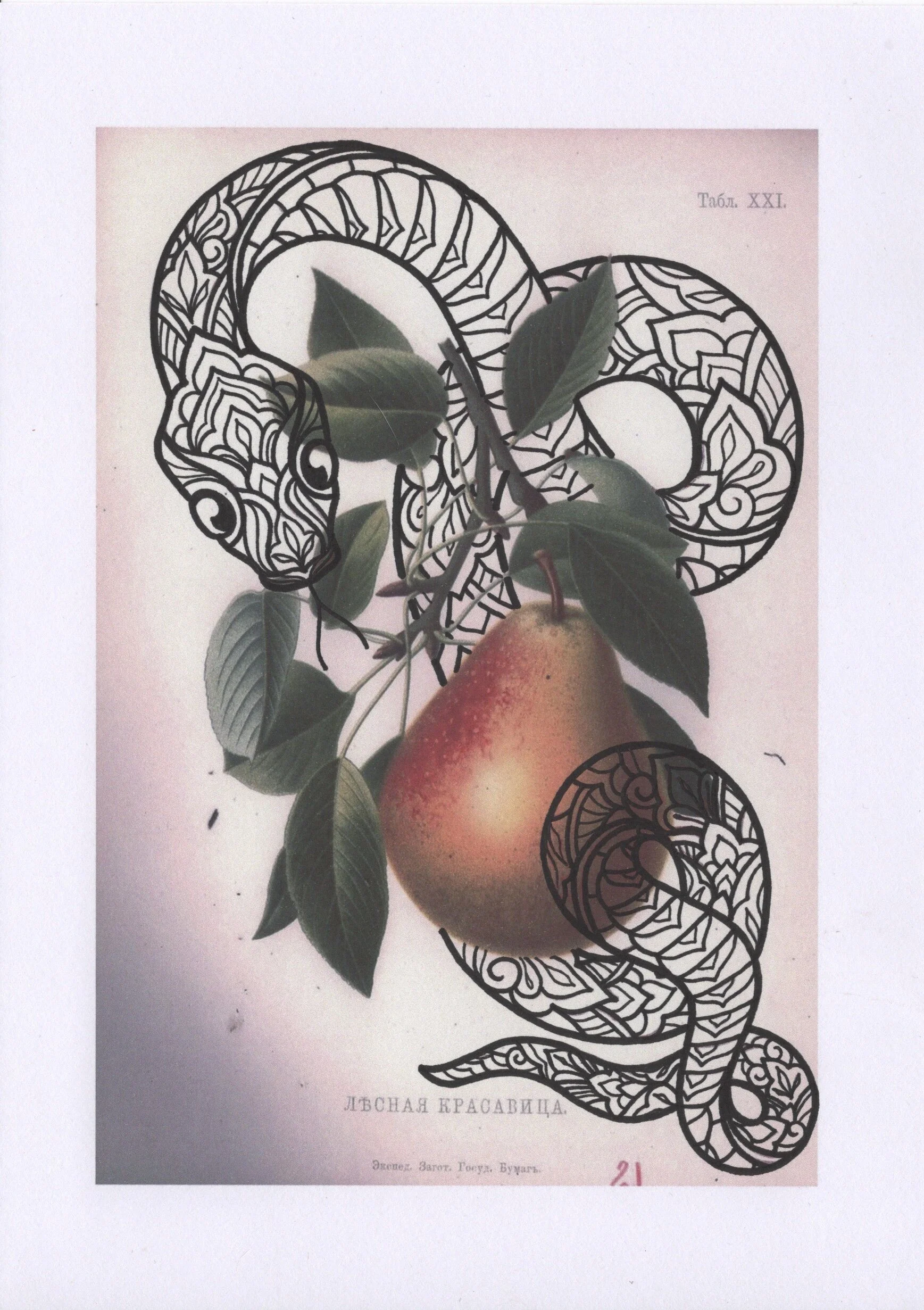 BAA7C2DC-C3D3-4BE4-A481-A9C4DDEBDAEA