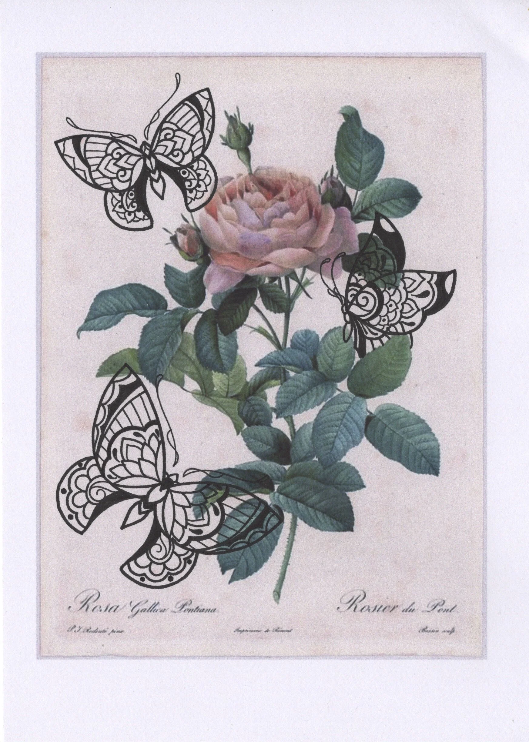 B28D770F-8565-4747-AAEC-5DC67F6D59DB