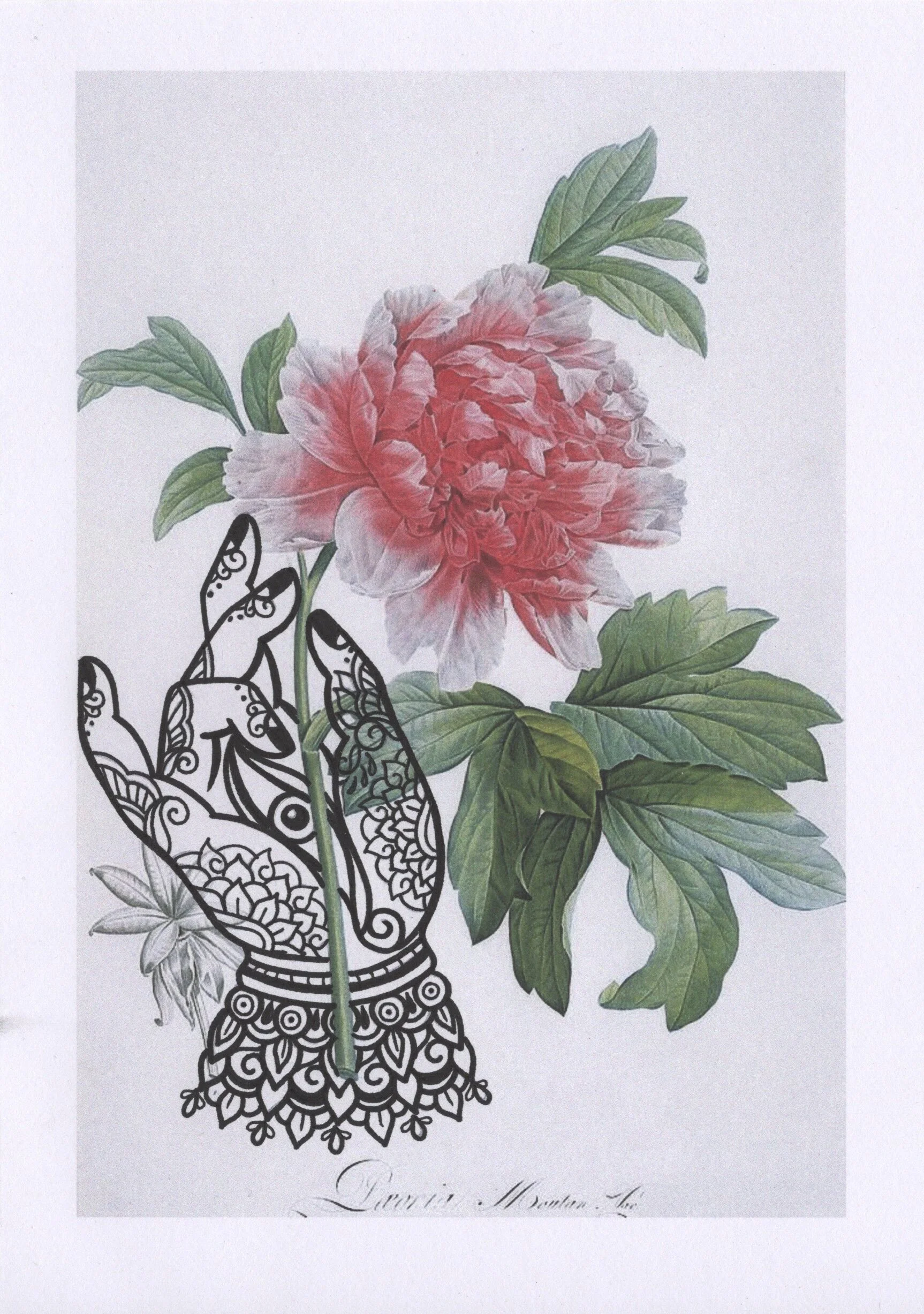 D2F0EE38-BE0B-4876-B575-C258AC23C767