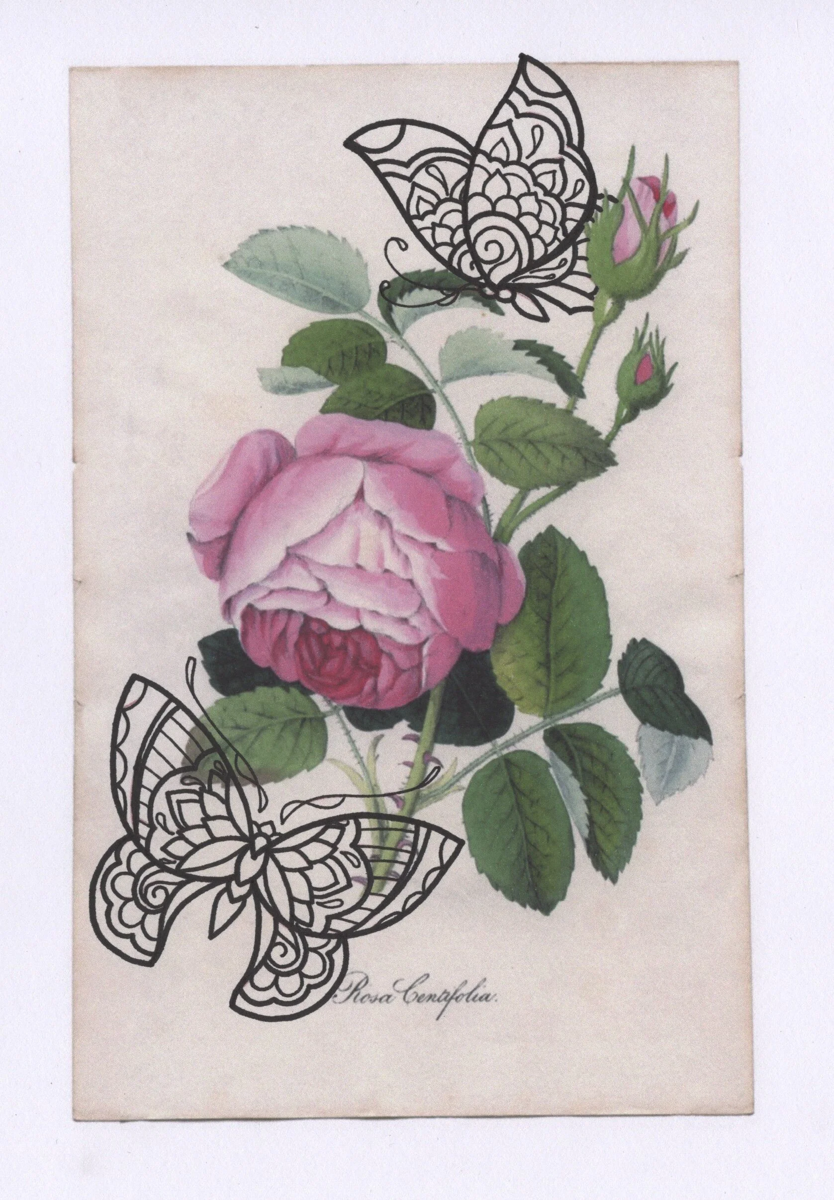 C71871A0-9464-4F13-8D45-59AFBB016A30