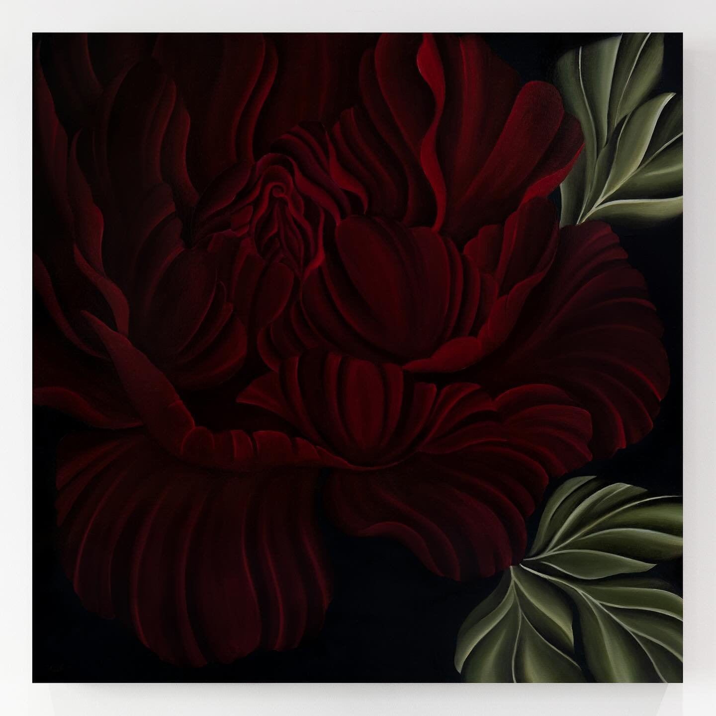Red Peony
Oil on Canvas
100x100cm

Limited Edition Gicl&eacute;e prints of Red Peony are also  available. Visit my website or send a DM to purchase or for more information. 

#floralpainting #flowerpainting #botanicalart #oilpainting #fineart #contem