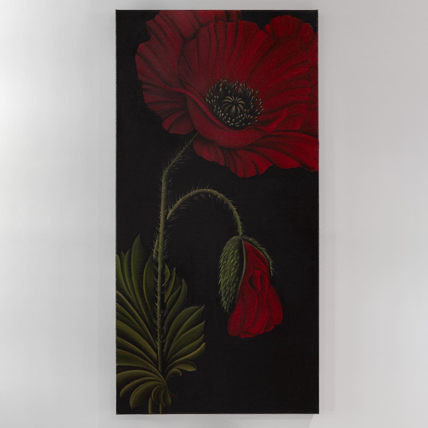 Red Poppy 
Oil on Canvas
50x100cm

I highly recommend watching a poppy bloom from bud. It&rsquo;s mesmerising. 

I spent a few months working on this piece, building it up over time to capture the richness, depth and sensuality of a poppy emerging fr
