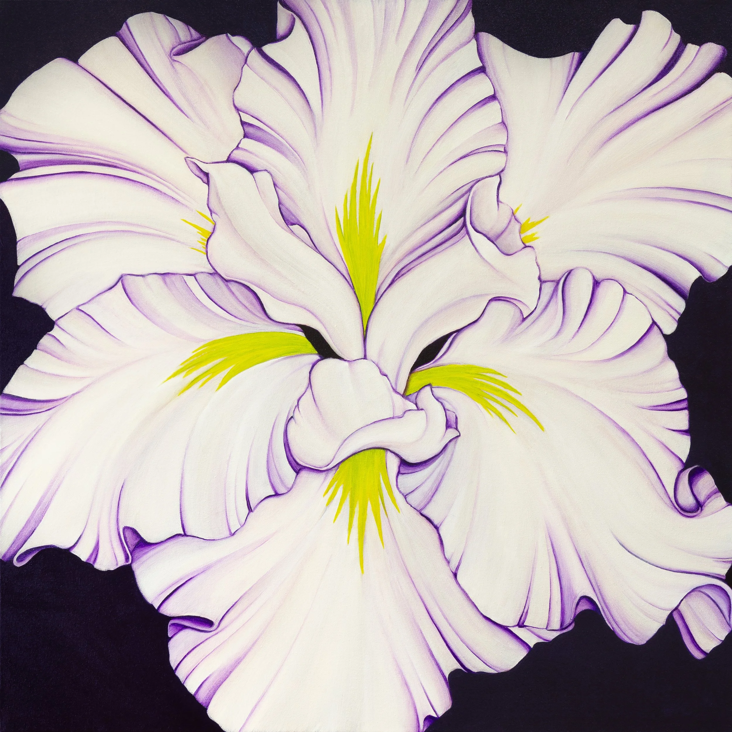 JAPANESE WATER IRIS (ON VIOLET), 2025