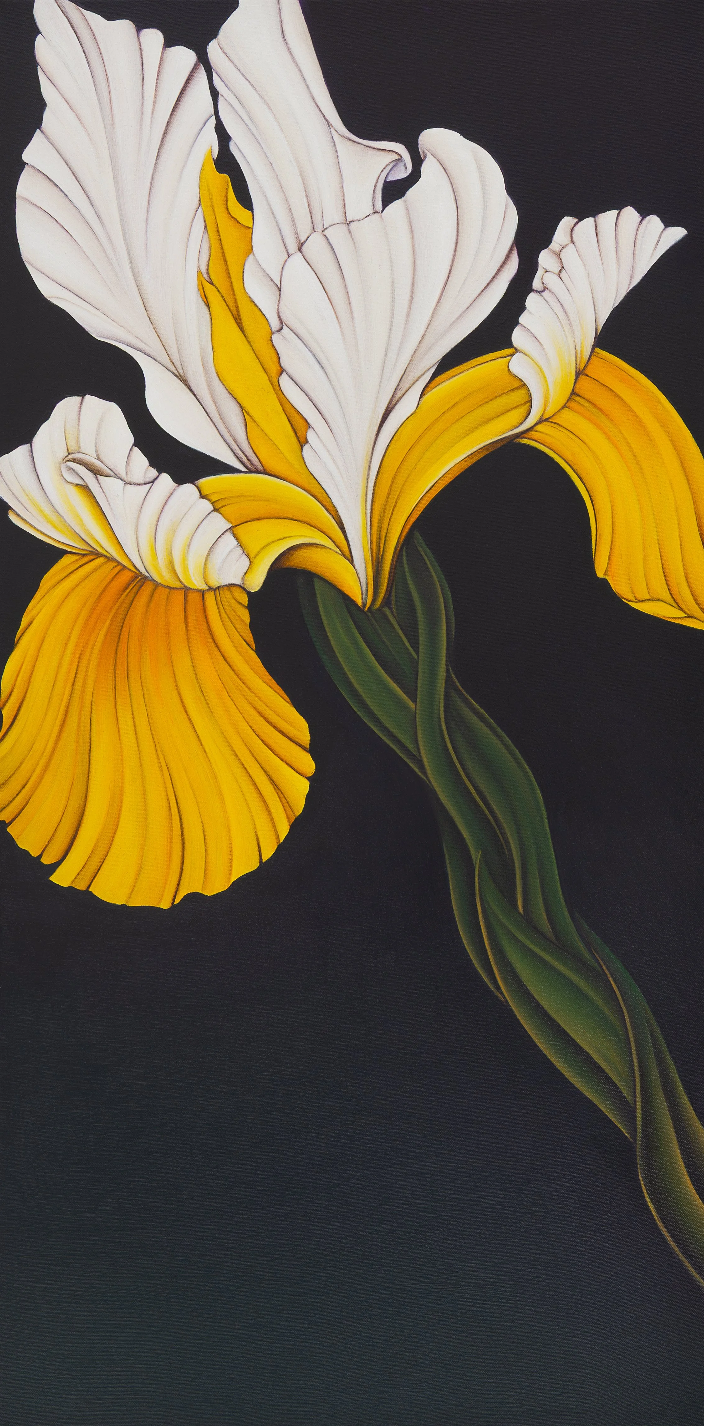 A SINGLE IRIS IN A NEIGHBOURHOOD PLANTER, 2025