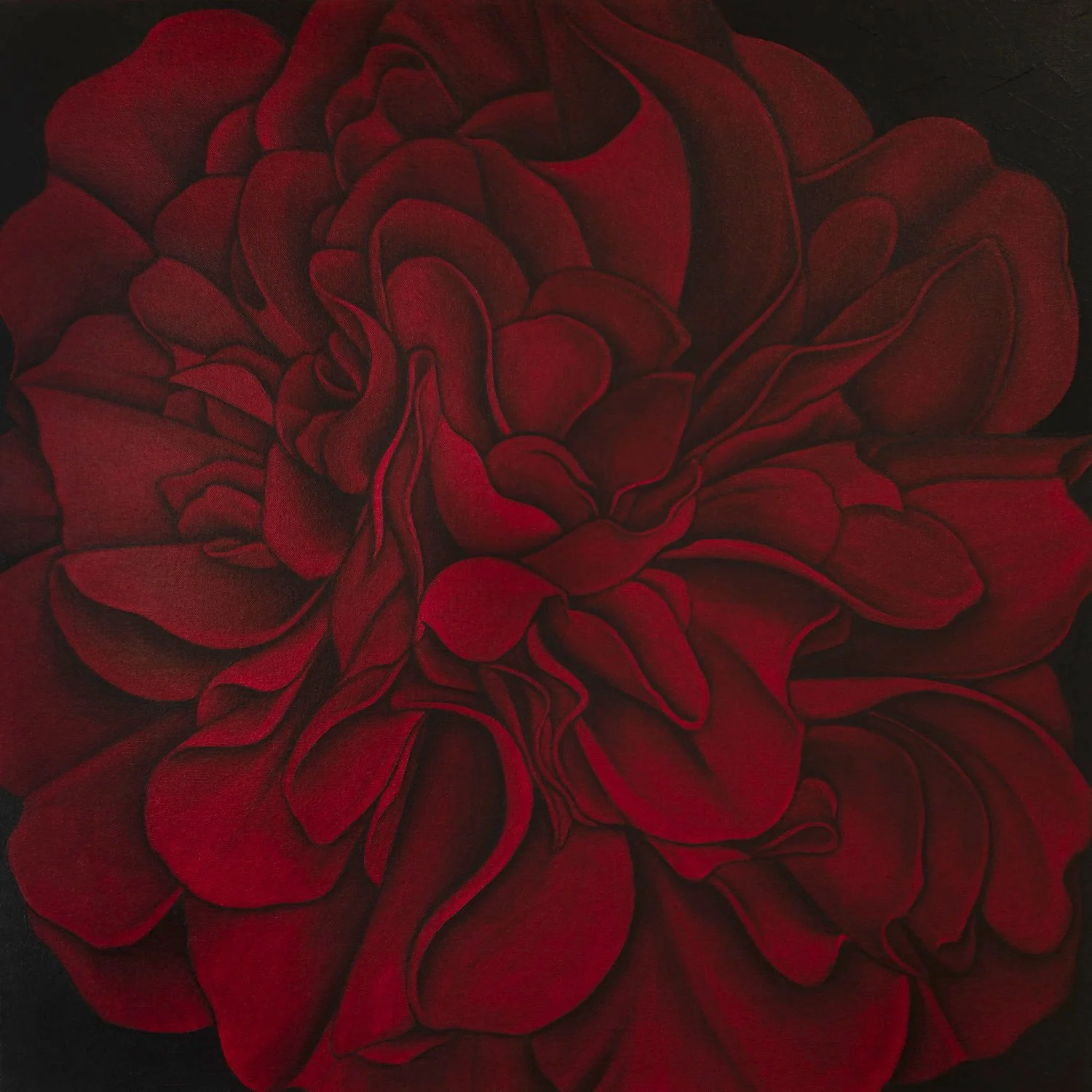 A RED CAMELLIA ON A LONDON STREET, 2025
