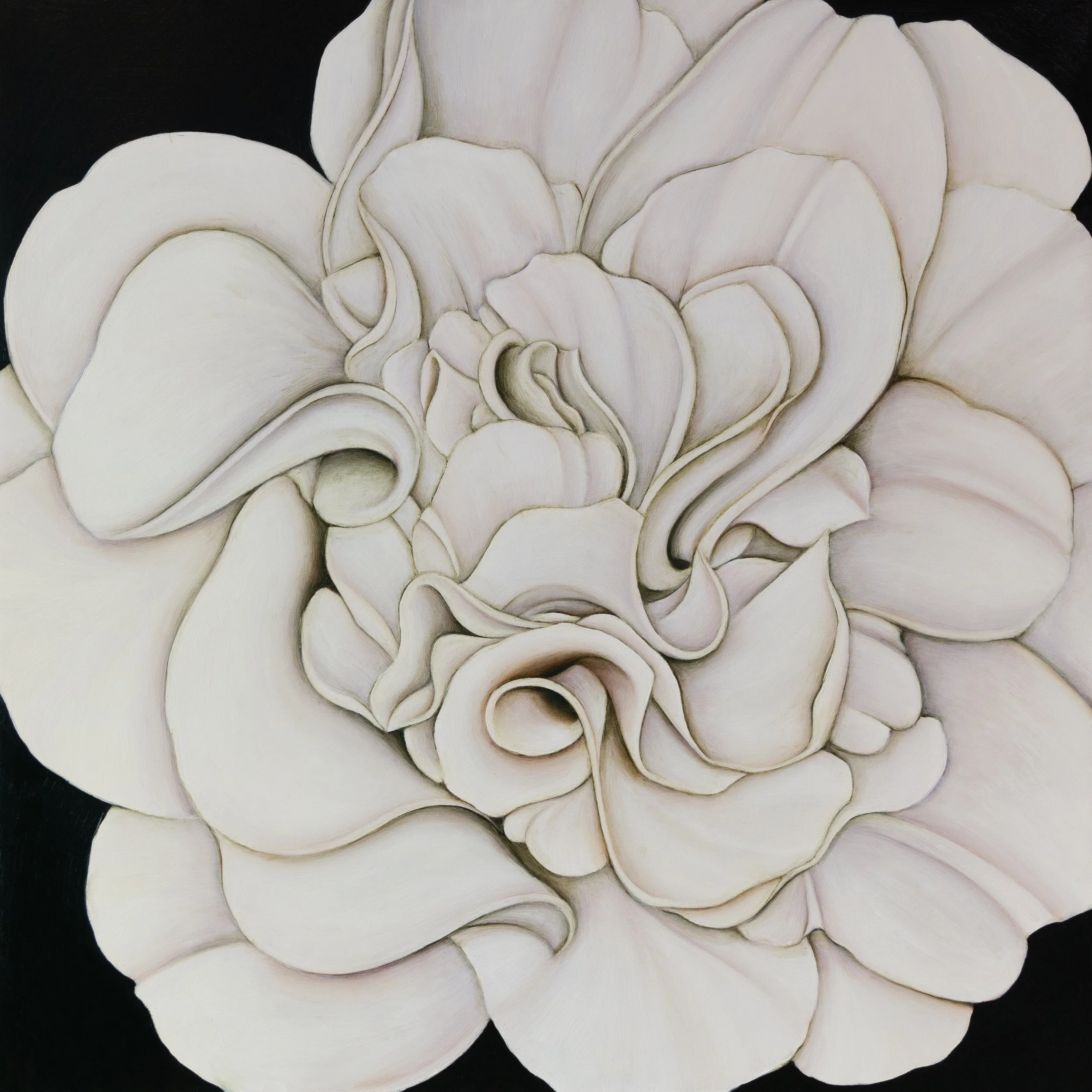 WHITE CAMELLIA (ON VERT DE GRIS), 2024