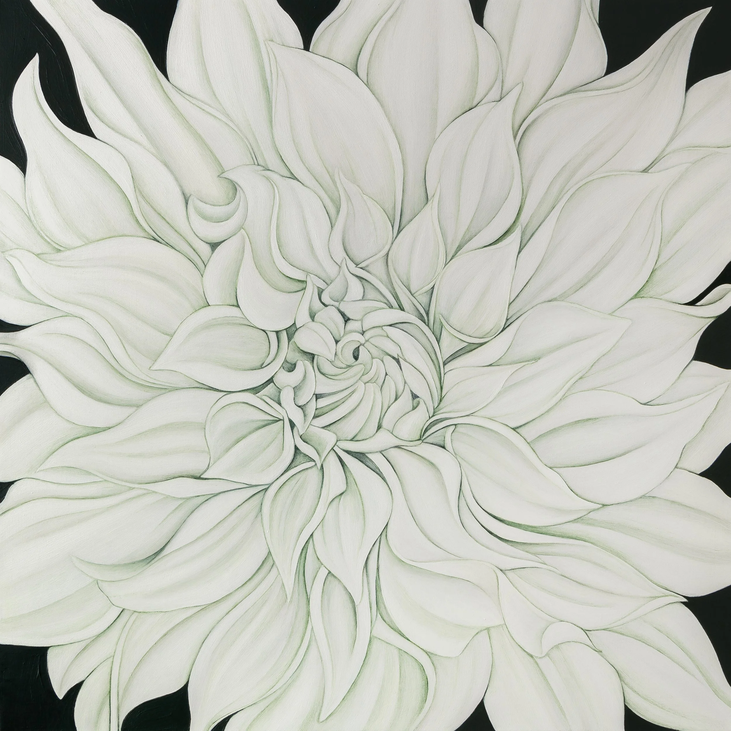 WHITE DAHLIA (ON VERT DE GRIS), 2024
