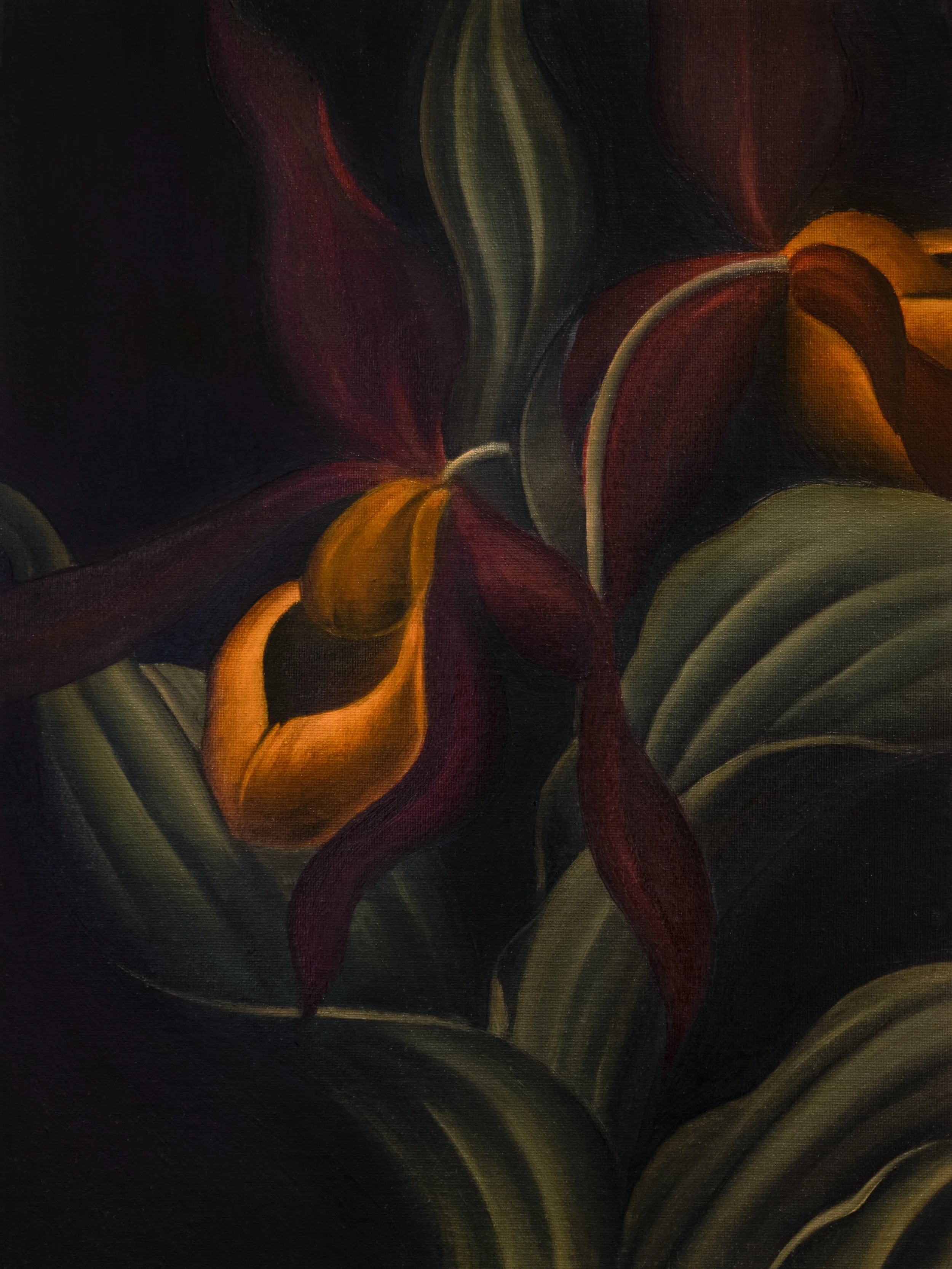 RED ORCHIDS, 2023