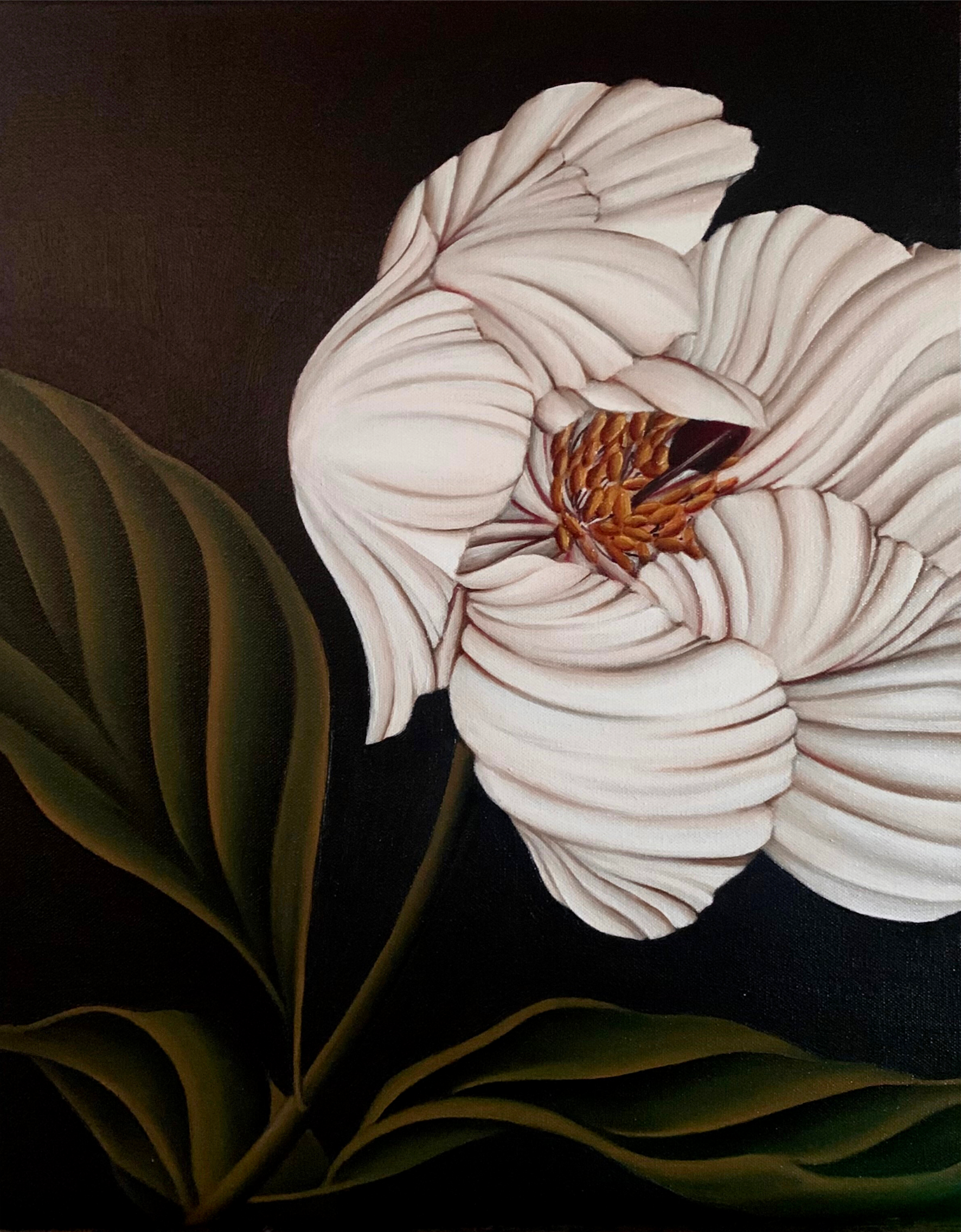 WHITE TULIP AT YORK GARDENS, 2023
