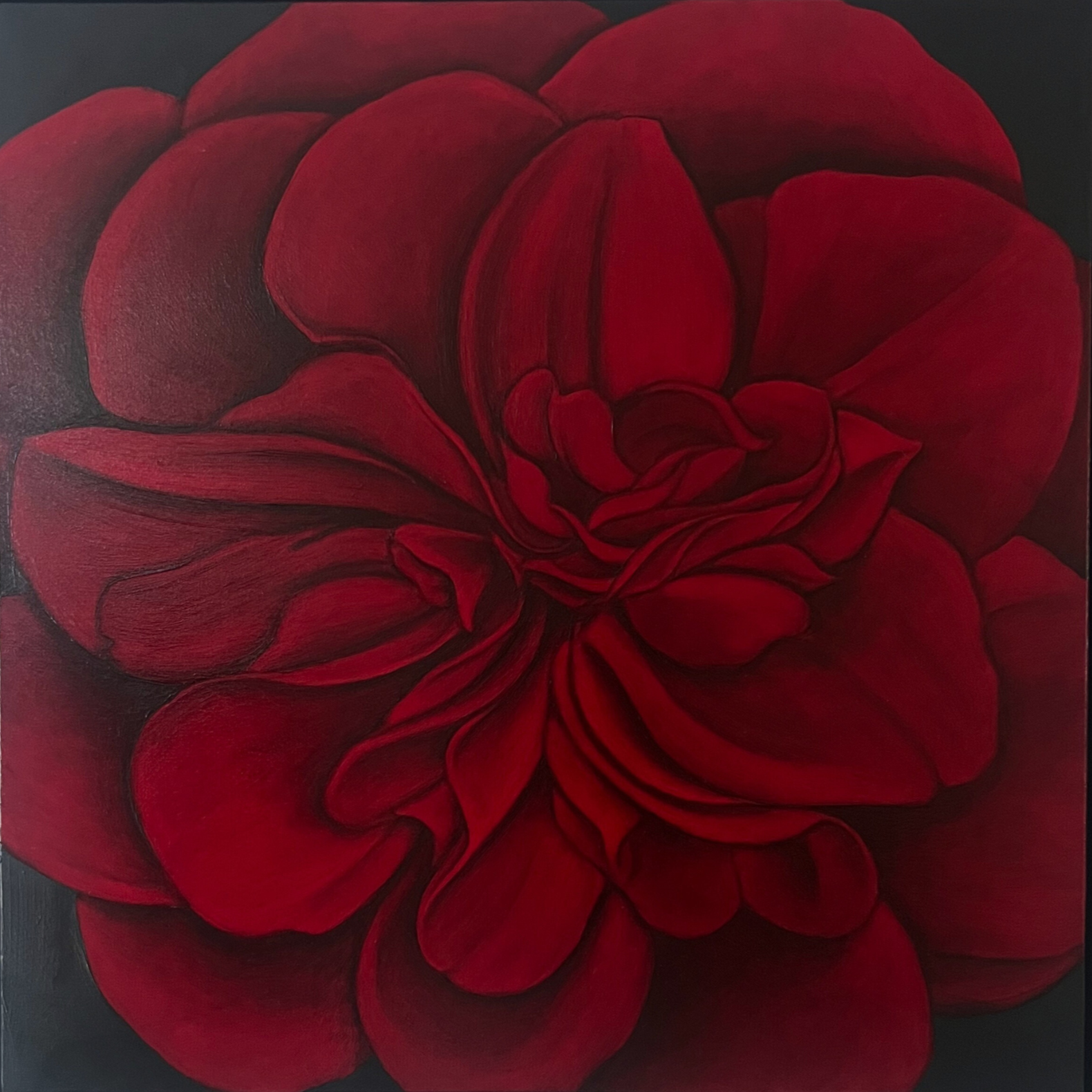 RED CAMELLIA AT NIGHT, 2025