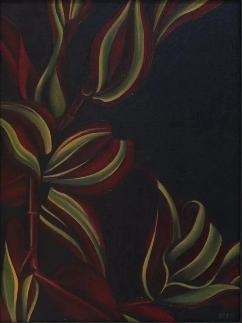 TRADESCANTIA ZEBRINA, 2023