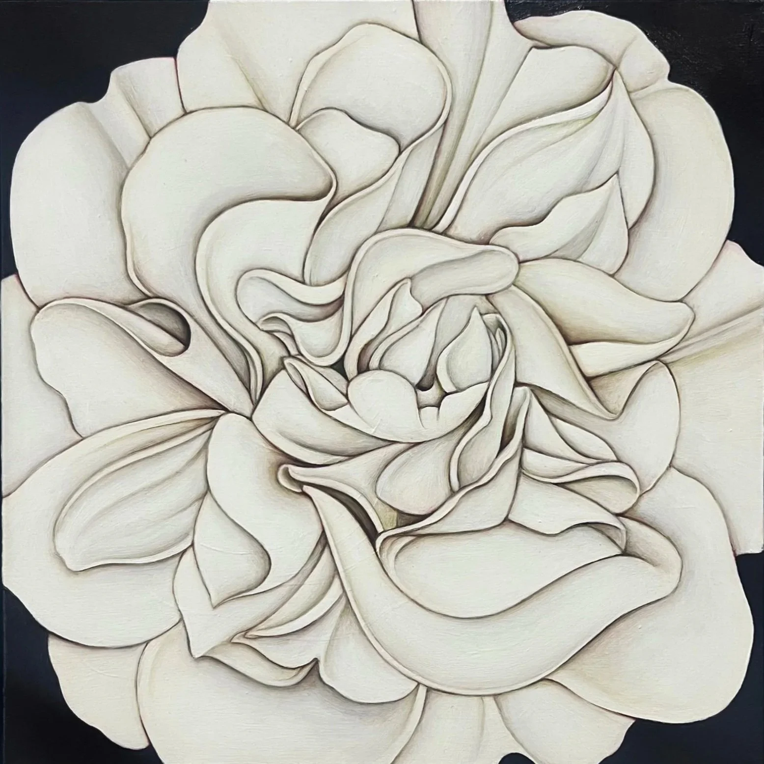WHITE CAMELLIA AT NIGHT, 2025