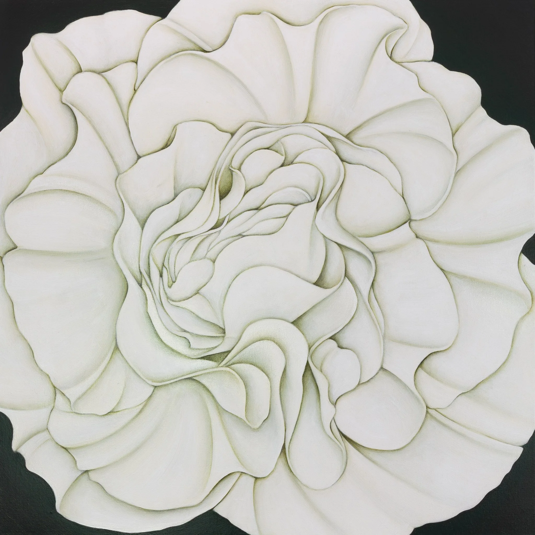 WHITE BEGONIA ON A VANCOUVER BALCONY