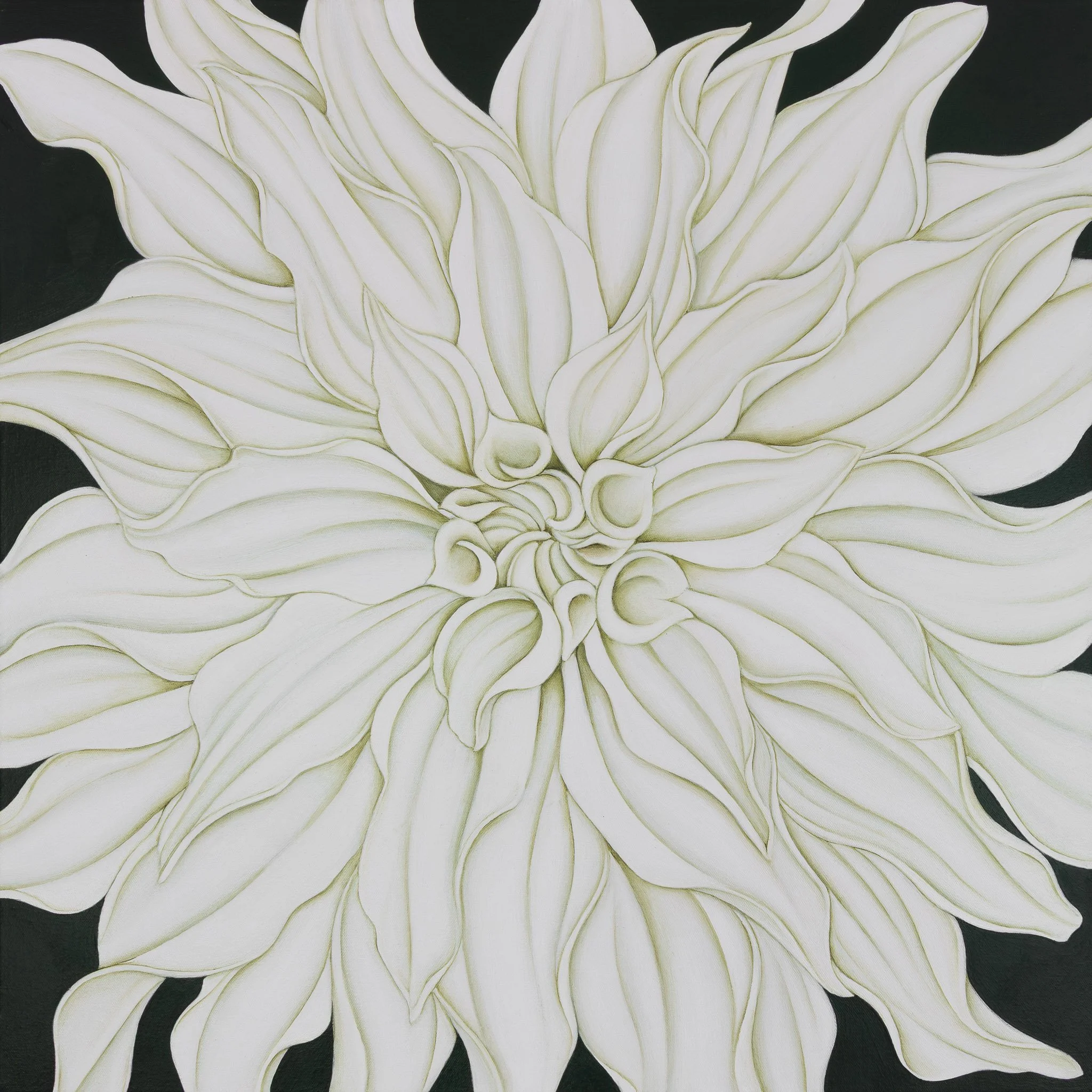 CAFE AU LAIT (ON VERT DE GRIS) 2025