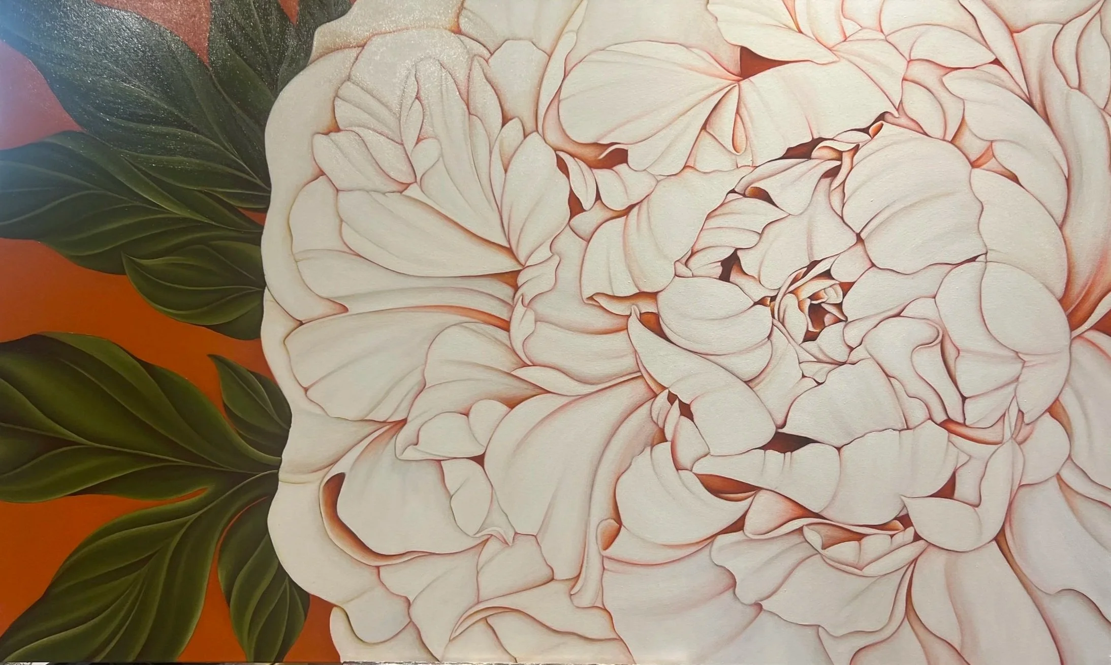 PAEONIA, 2025
