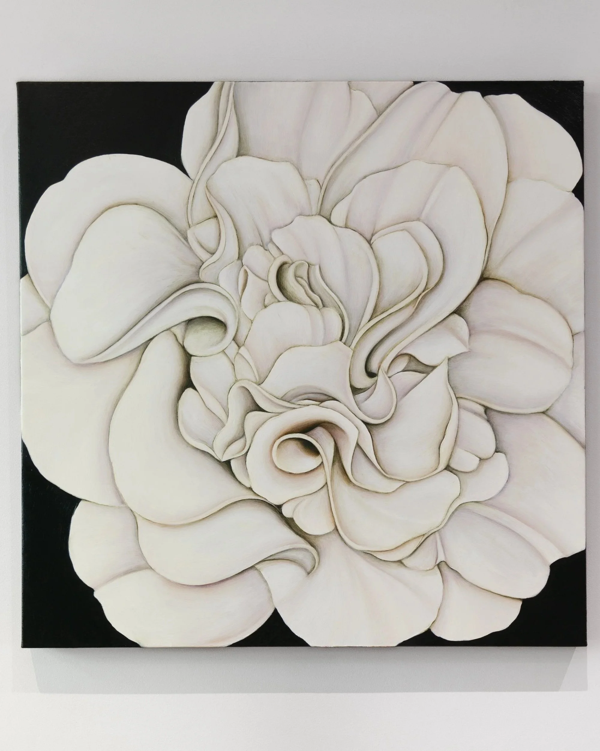 WHITE CAMELLIA ON VERT DE GRIS, 2024
