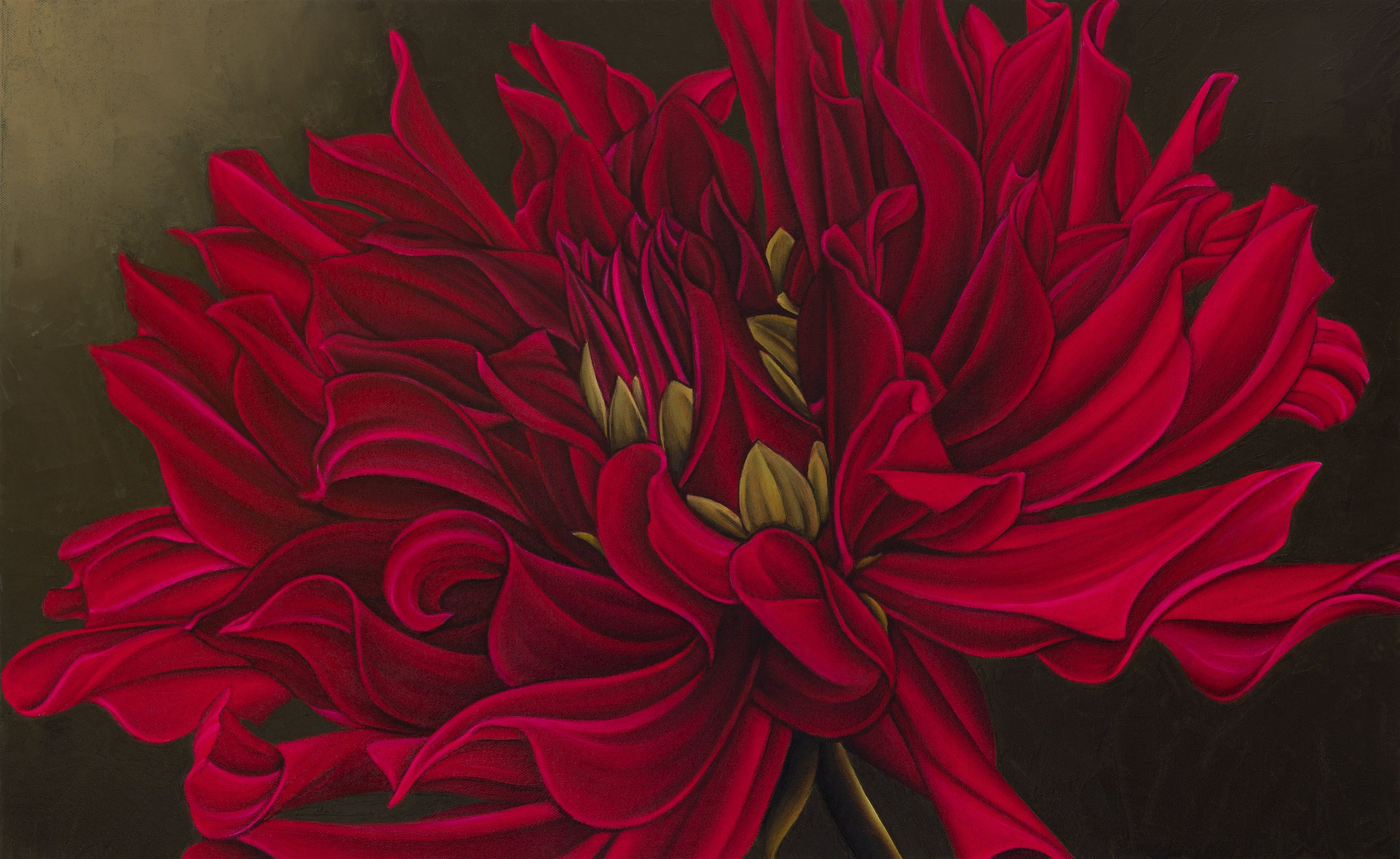 Dahlia Web Res.jpg