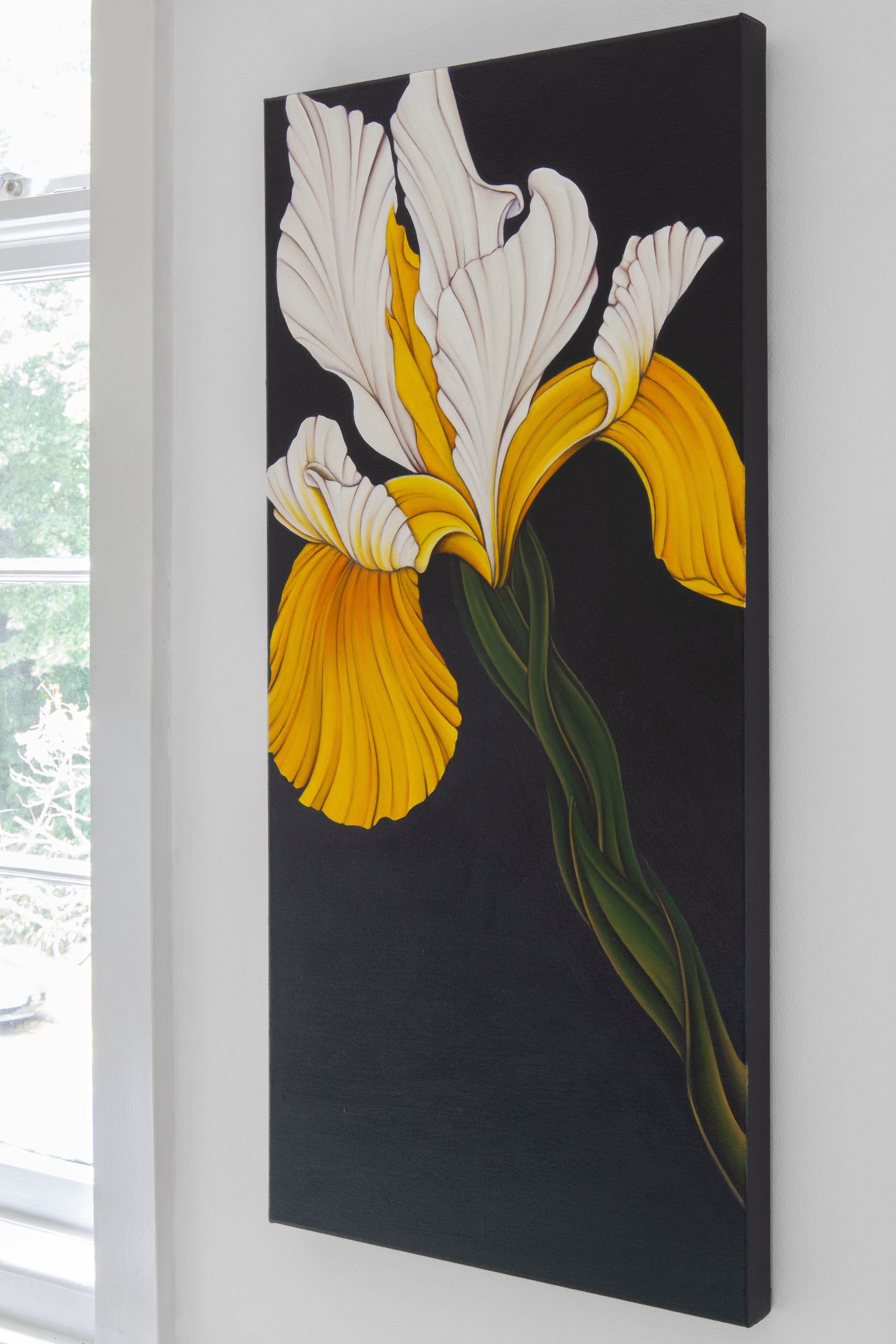 yellow iris-06.jpg