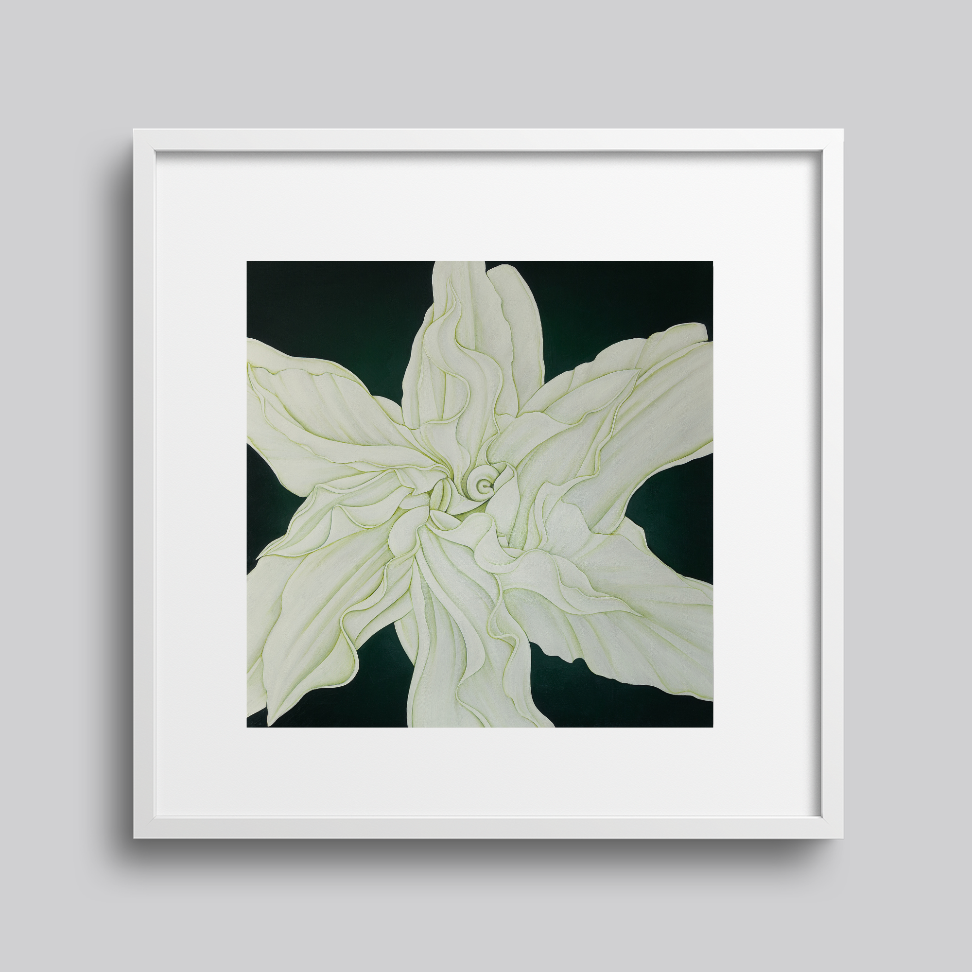 Dom Holmes - madonna roselily mini print.png