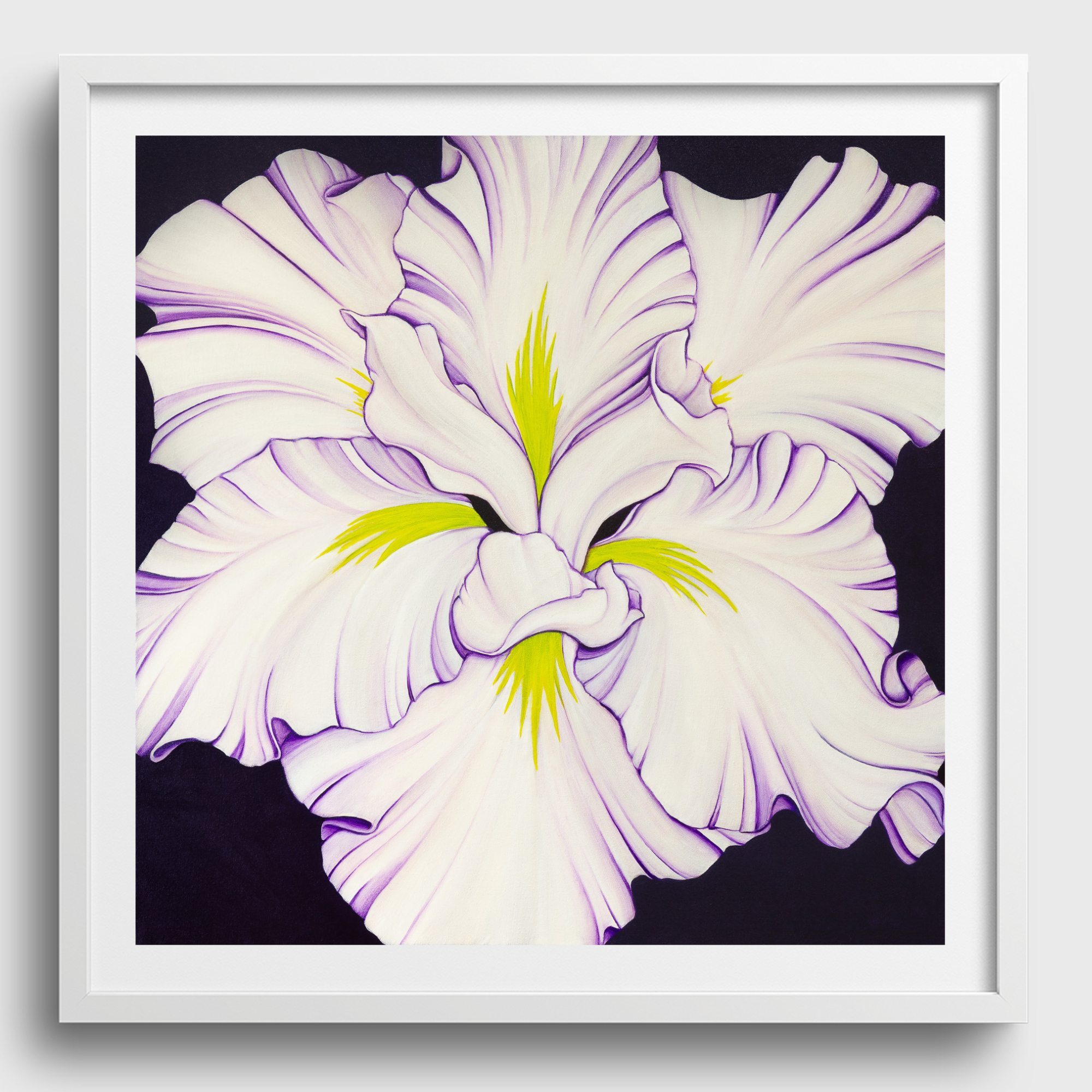 Dom Holmes Art Framed artworks (13).png