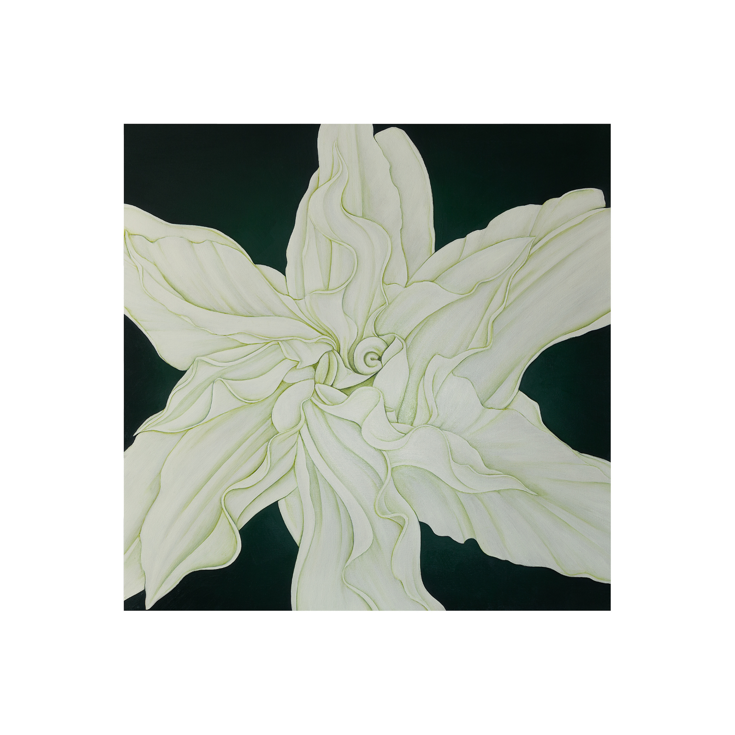 Roselily print.png