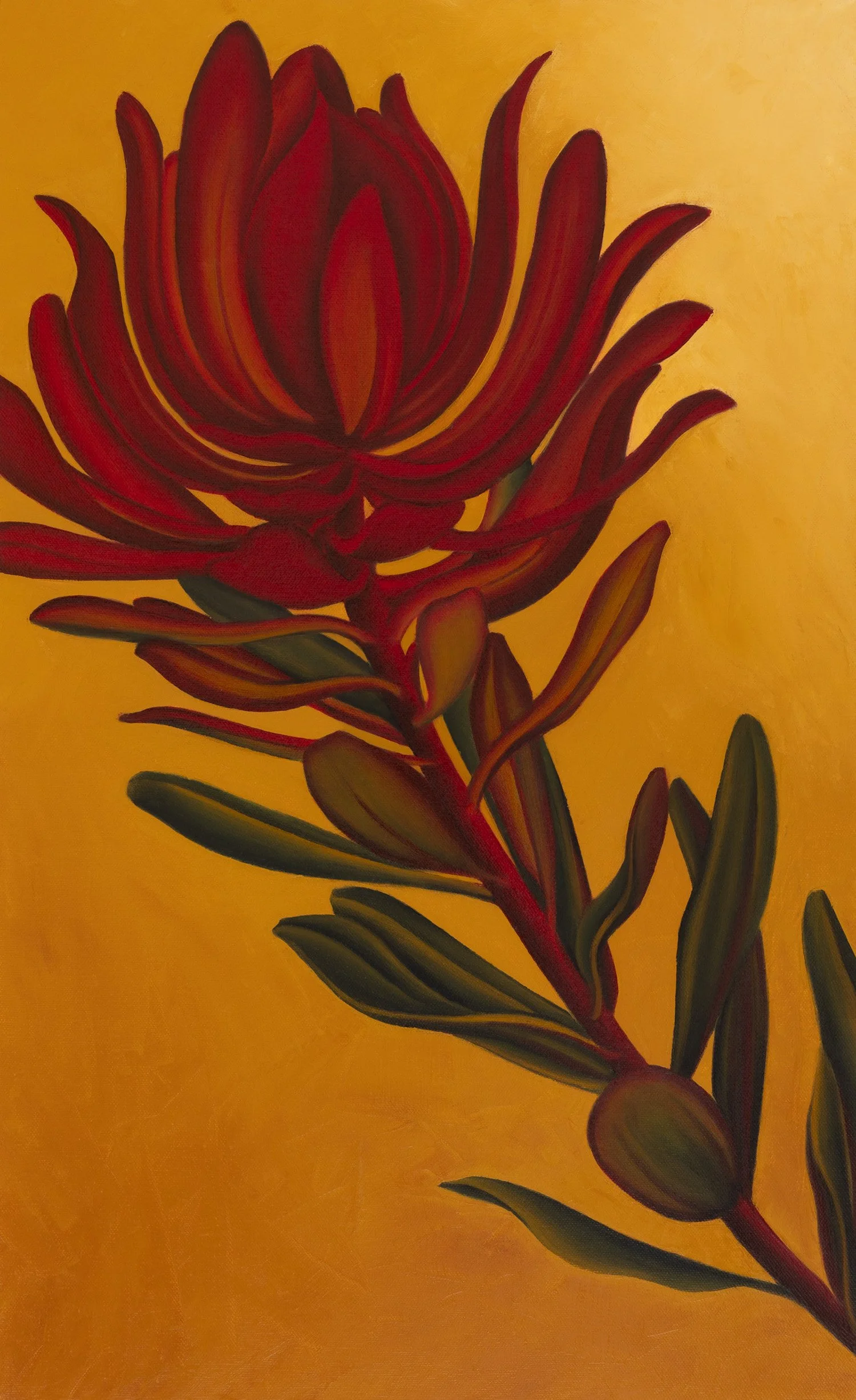 Ochre Web Res.jpg