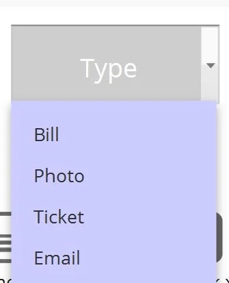 portfolio_filetype.JPG