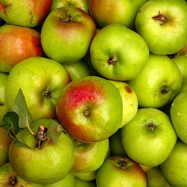 🍏🍎 Planning approved for our refurb + extension of a beautiful modernist 1960s house. The clients (Hi Mum) gave me a basket of apples from their garden as &ldquo;payment&rdquo; 🤔🌳🐿 #60s #modernist #modernistarchitecture #chester #cheshire #apple