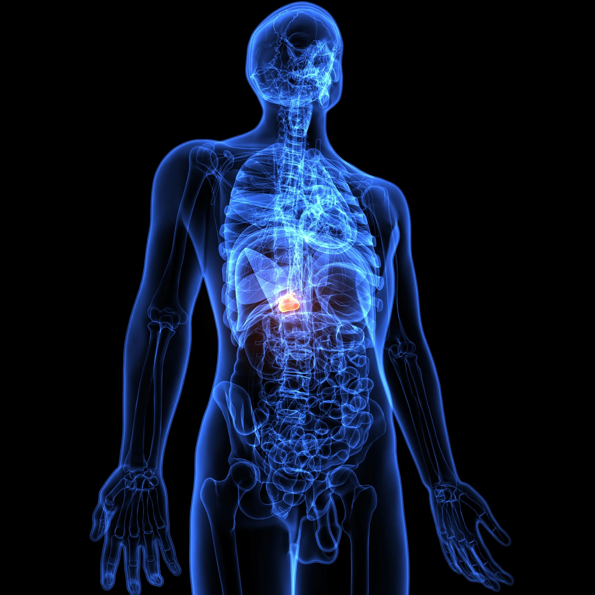 Is my metabolism damaged?
