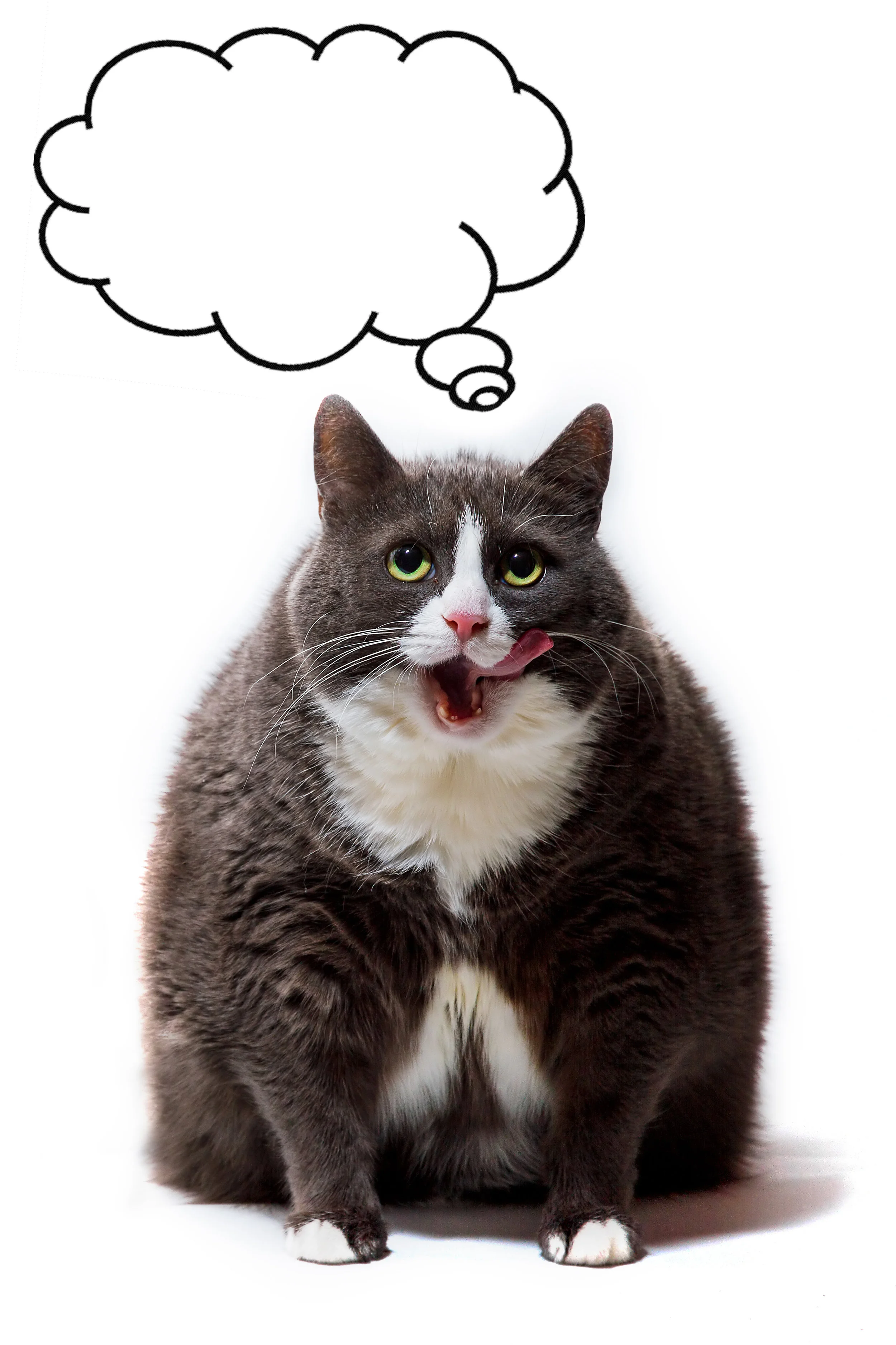 Can you think yourself fat?