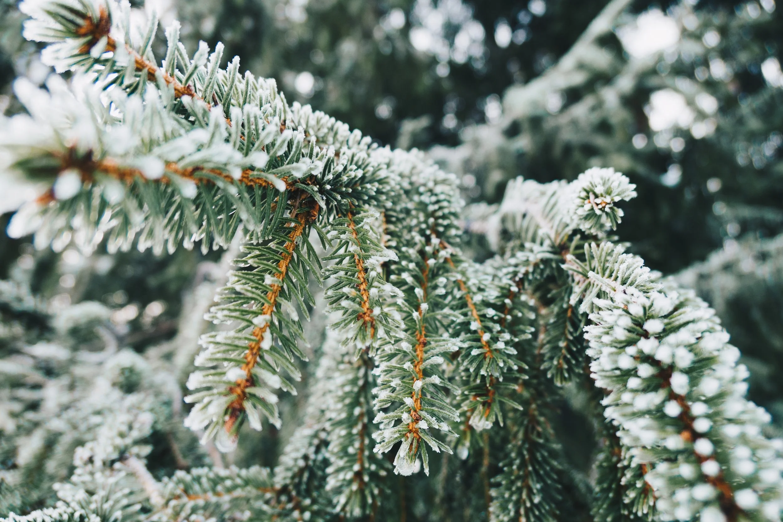 Exercising outside in winter lets you in on a secret and beautiful world!