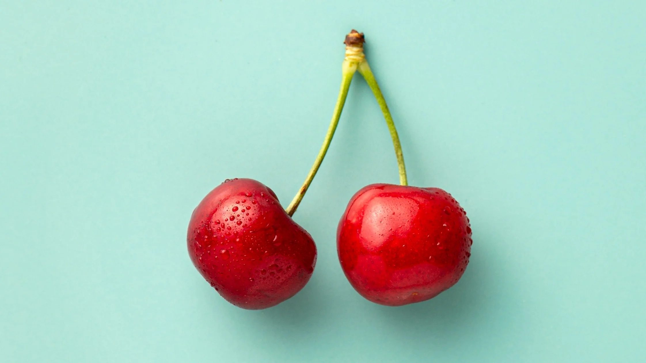 Does the perfect diet actually exist?