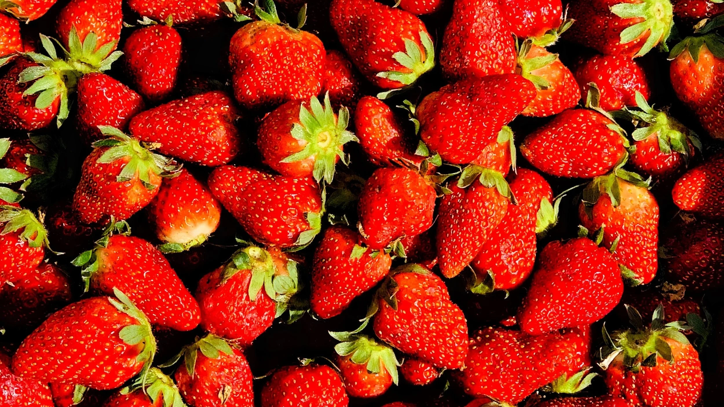 Does Fruit Make You Fat?