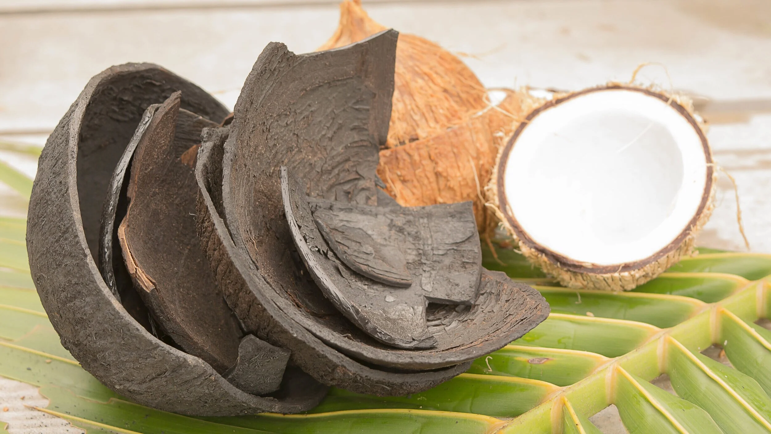 uses for activated charcoal.jpeg