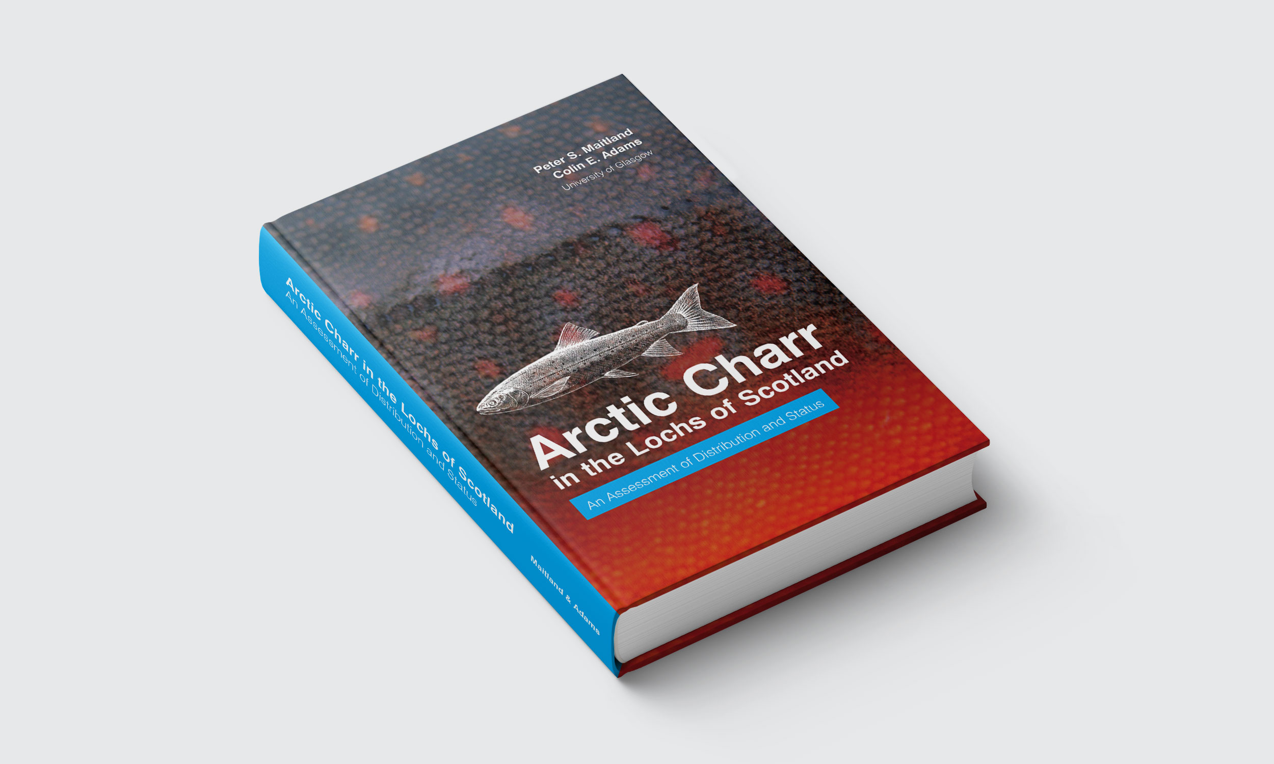 Cover Design