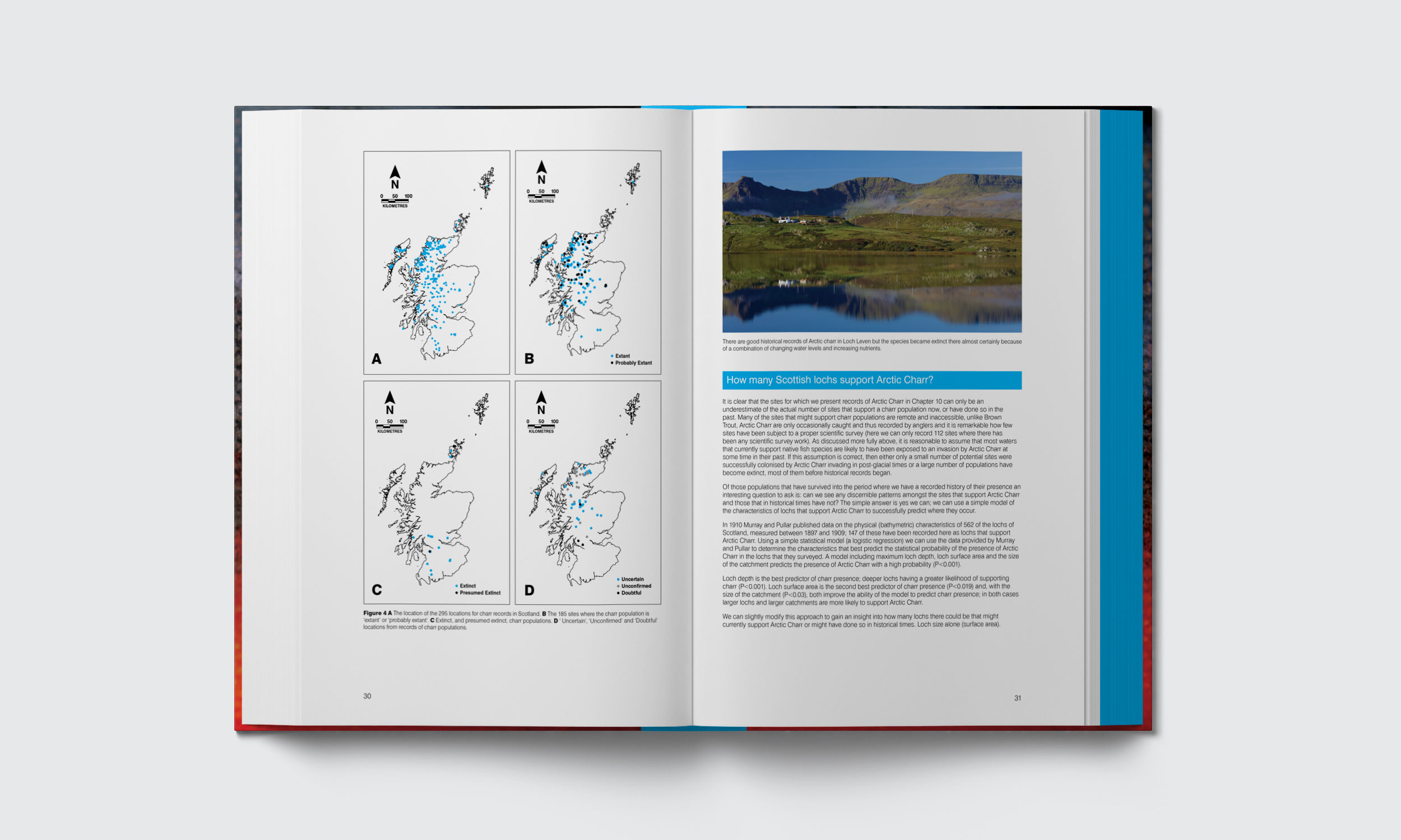 Introduction Section