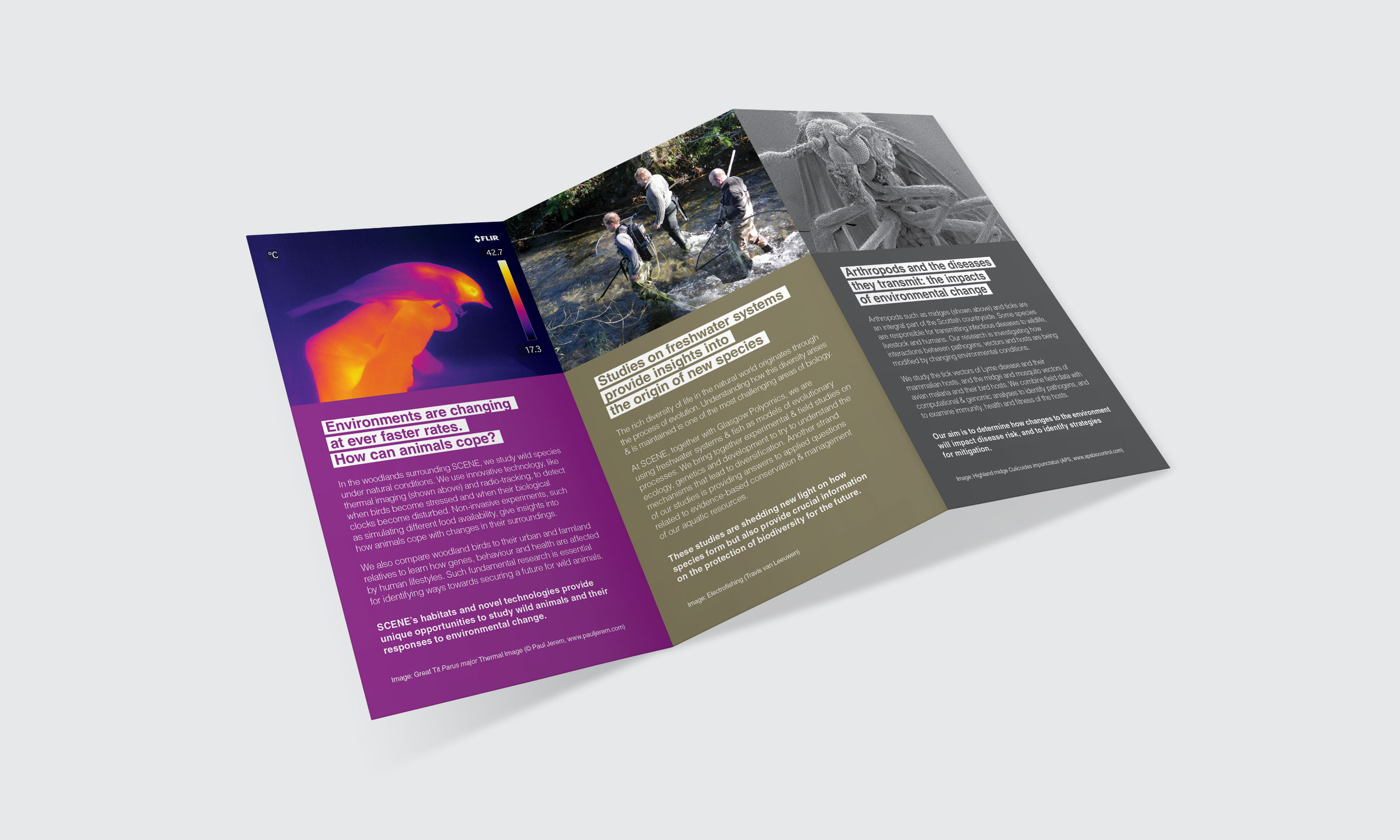 Research Leaflet Inner