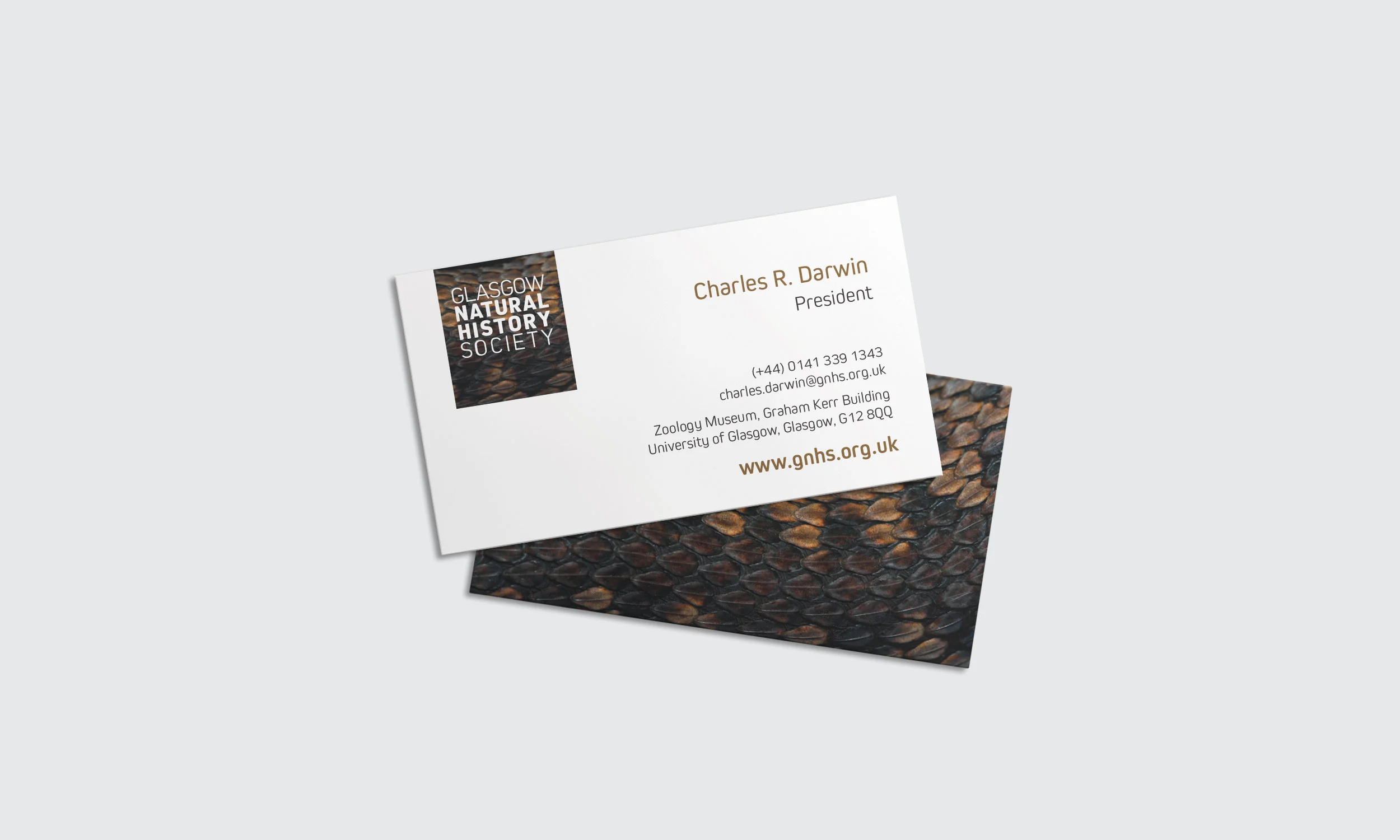 Business Card