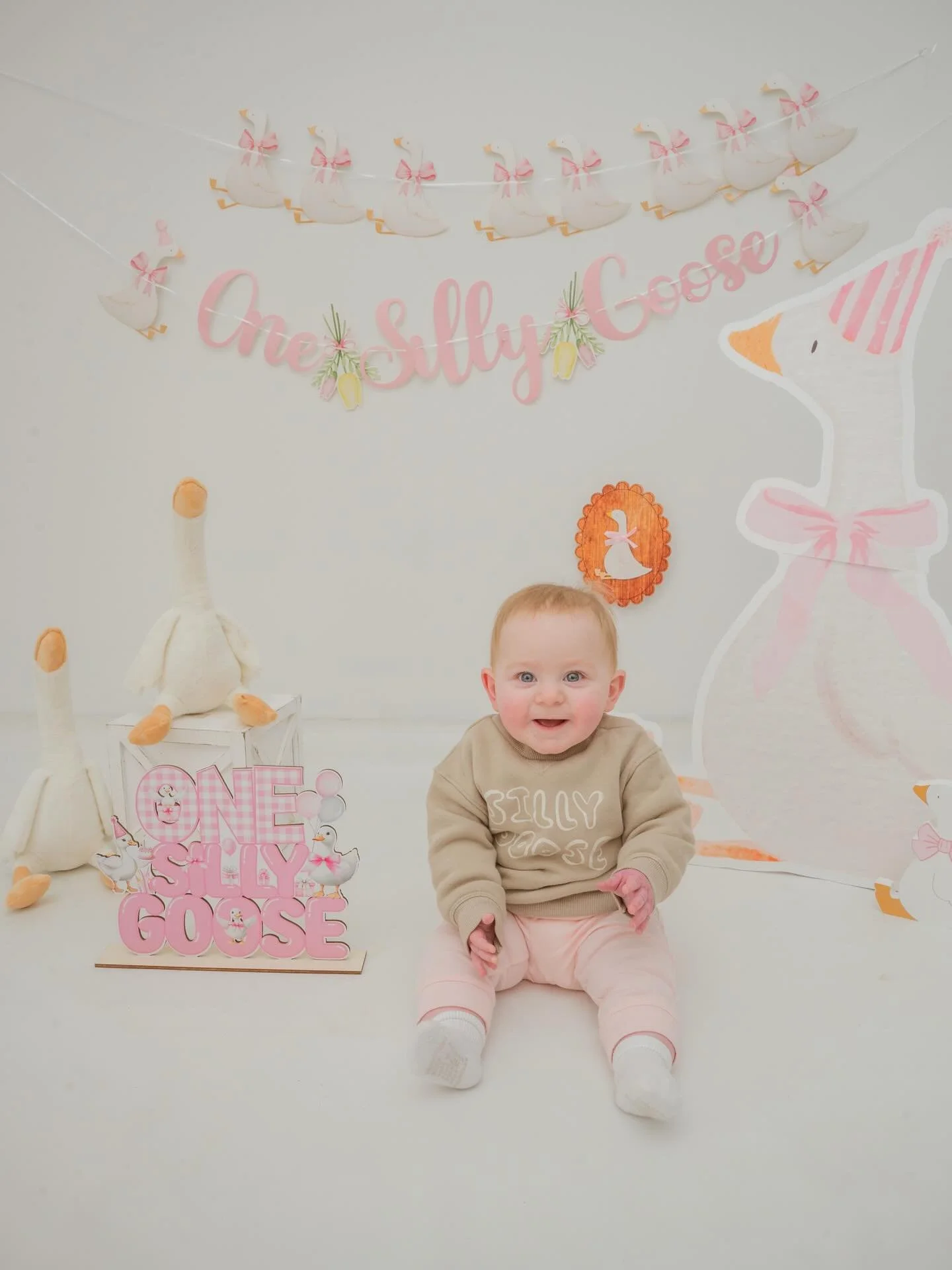 Absolutely obsessed with these. 🪿 charlottes first birthday is already here which is insane because I feel like Emily &amp; John just told me they were pregnant!! She&rsquo;s sooo cute and so full of smiles. And I love this theme. One silly goose. O