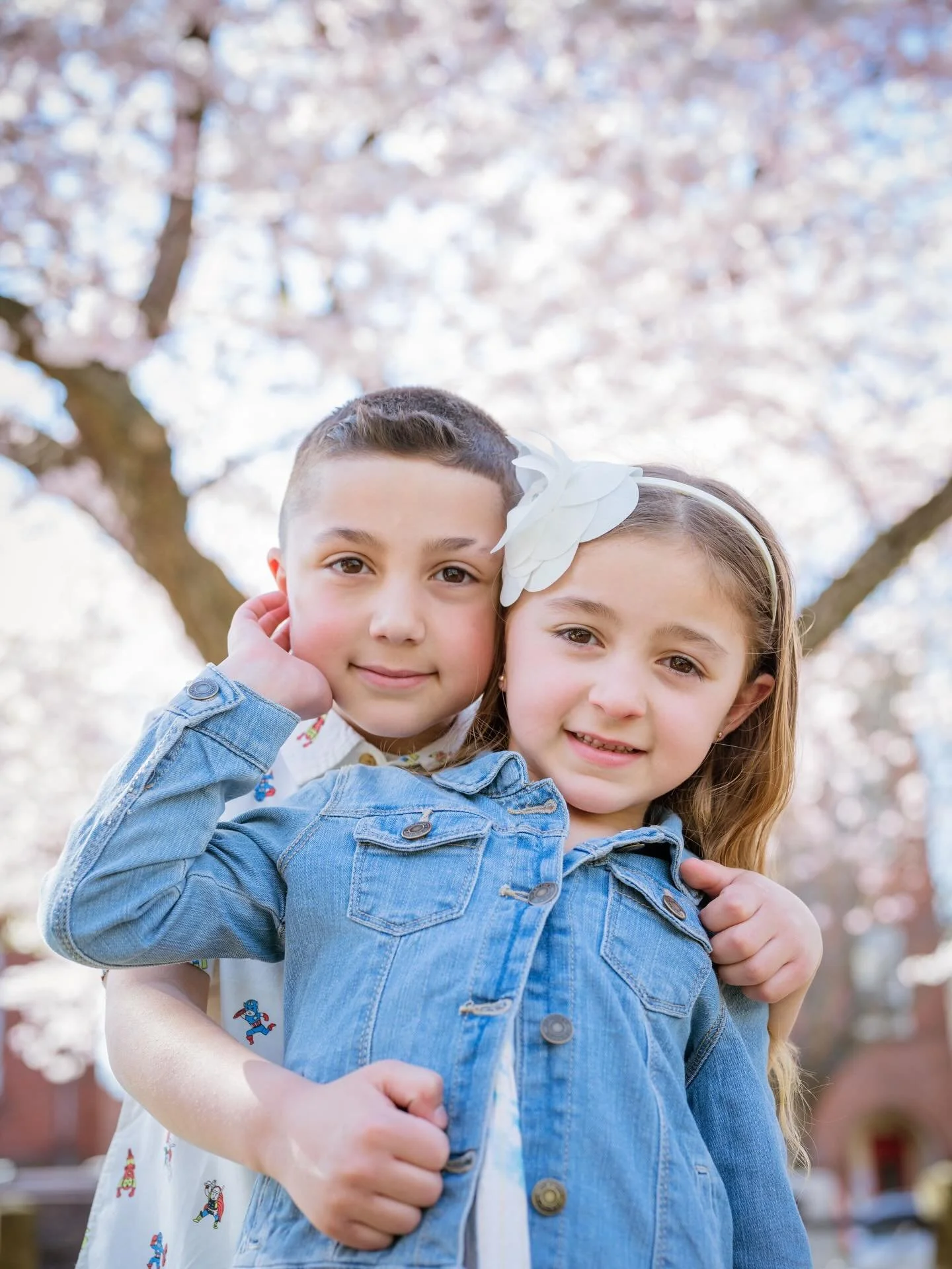 Don&rsquo;t miss this once a year opportunity!!! CHERRY BLOSSOM PHOTOS!!! $285 - Wooster square all next week. Branford center the week after that so the week of the 21st. We are blessed in New England to have this beautiful tree once a year. Let&rsq