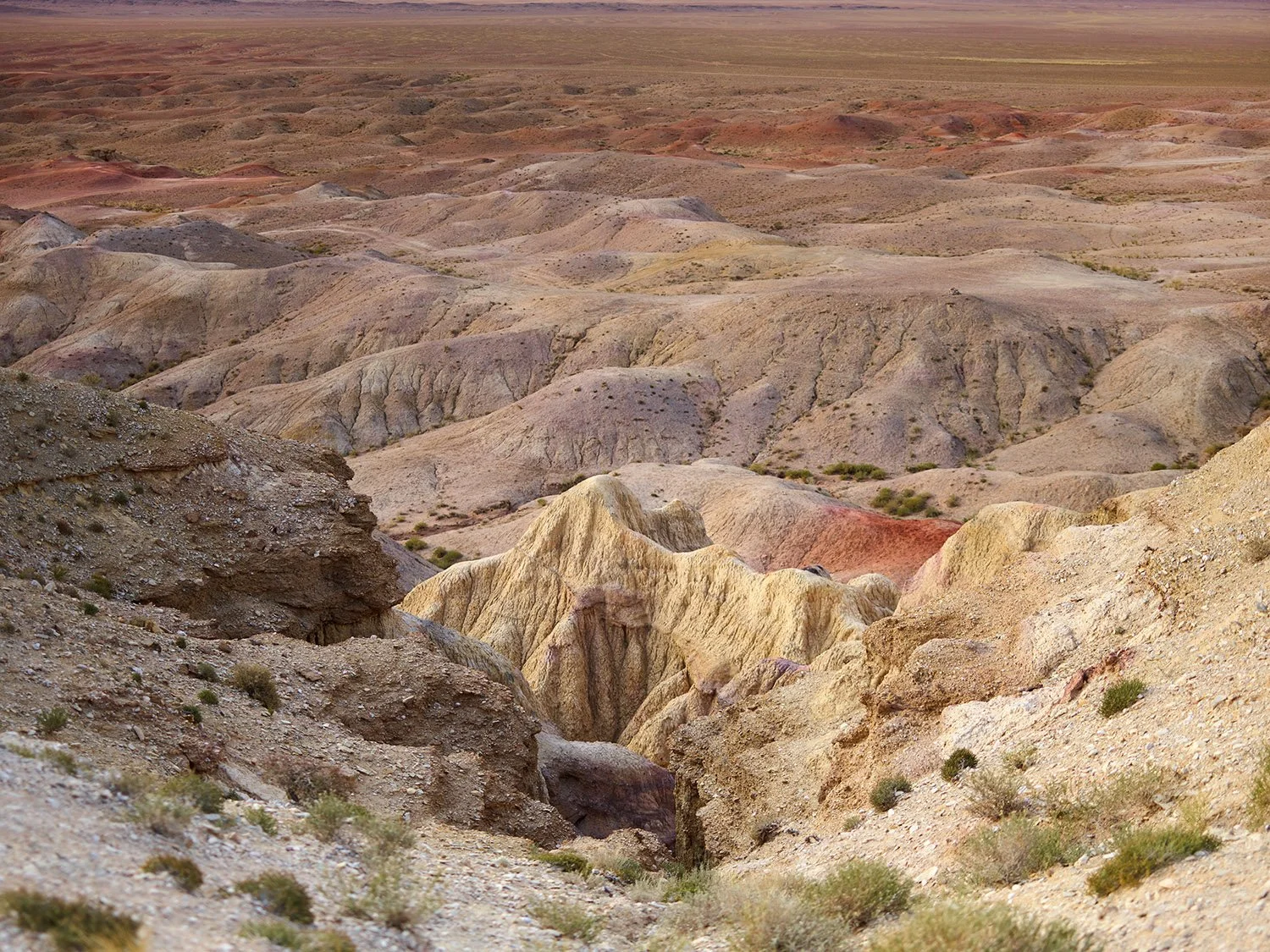 CF139278.jpg