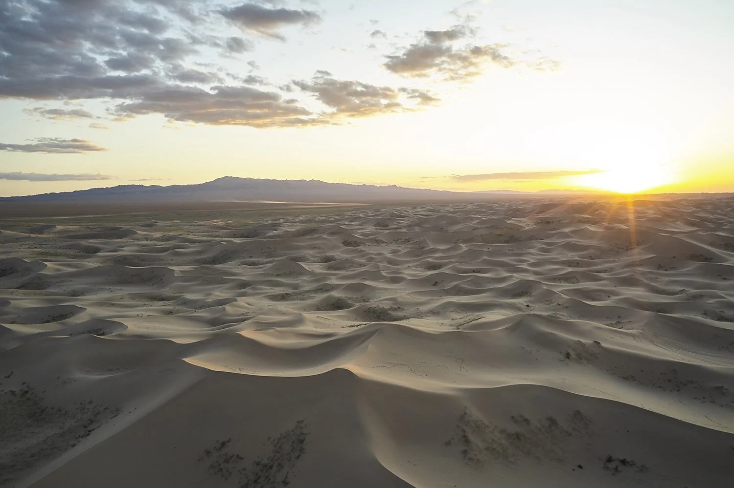 DJI_0475.jpg