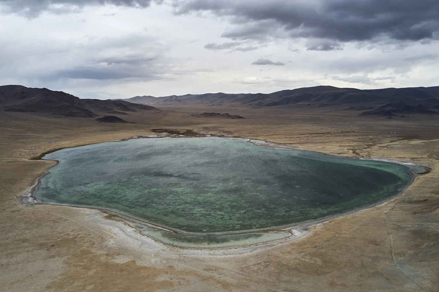 DJI_0978.jpg